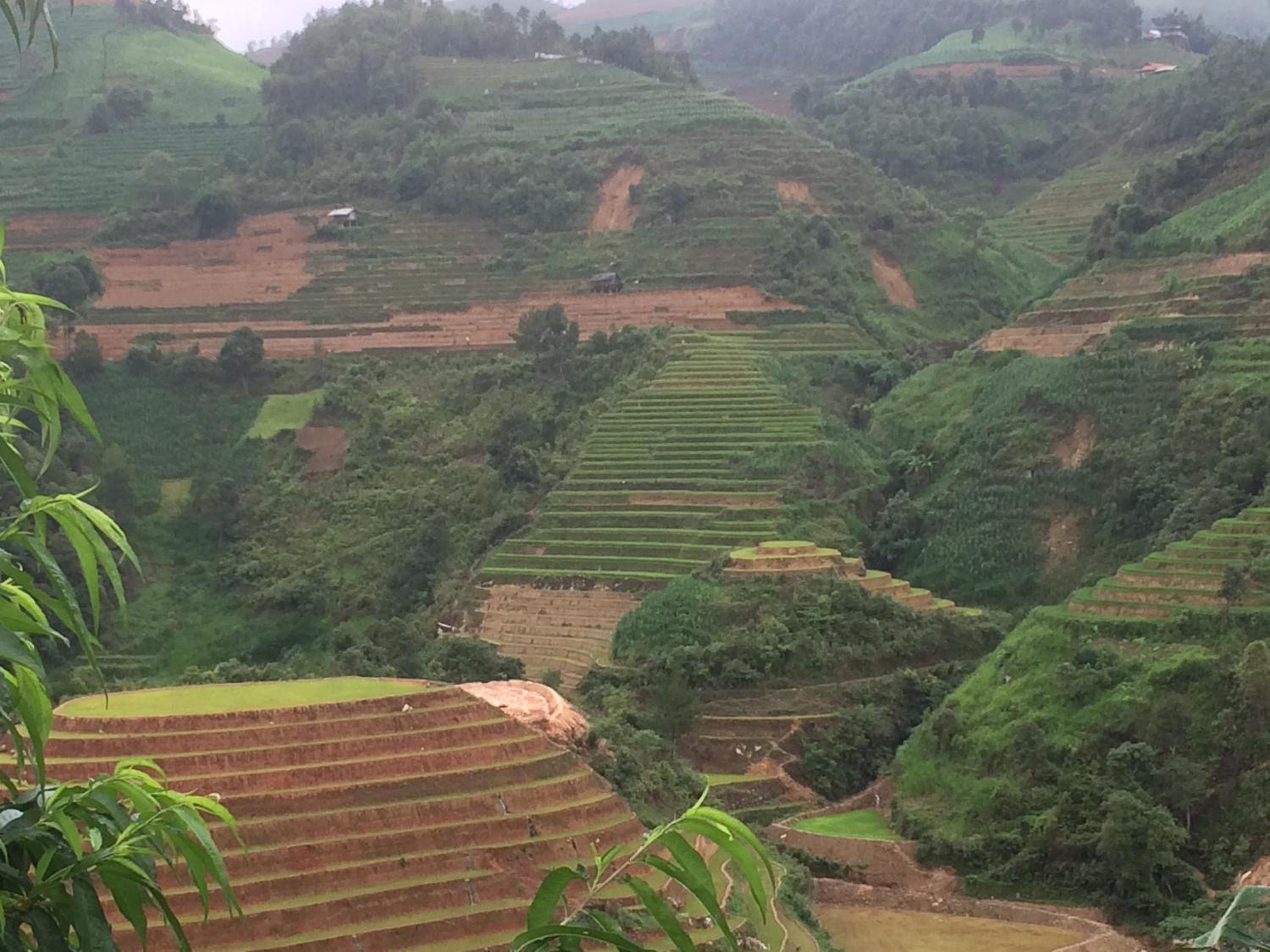 Hello Mu Cang Chai Homestay & Tours