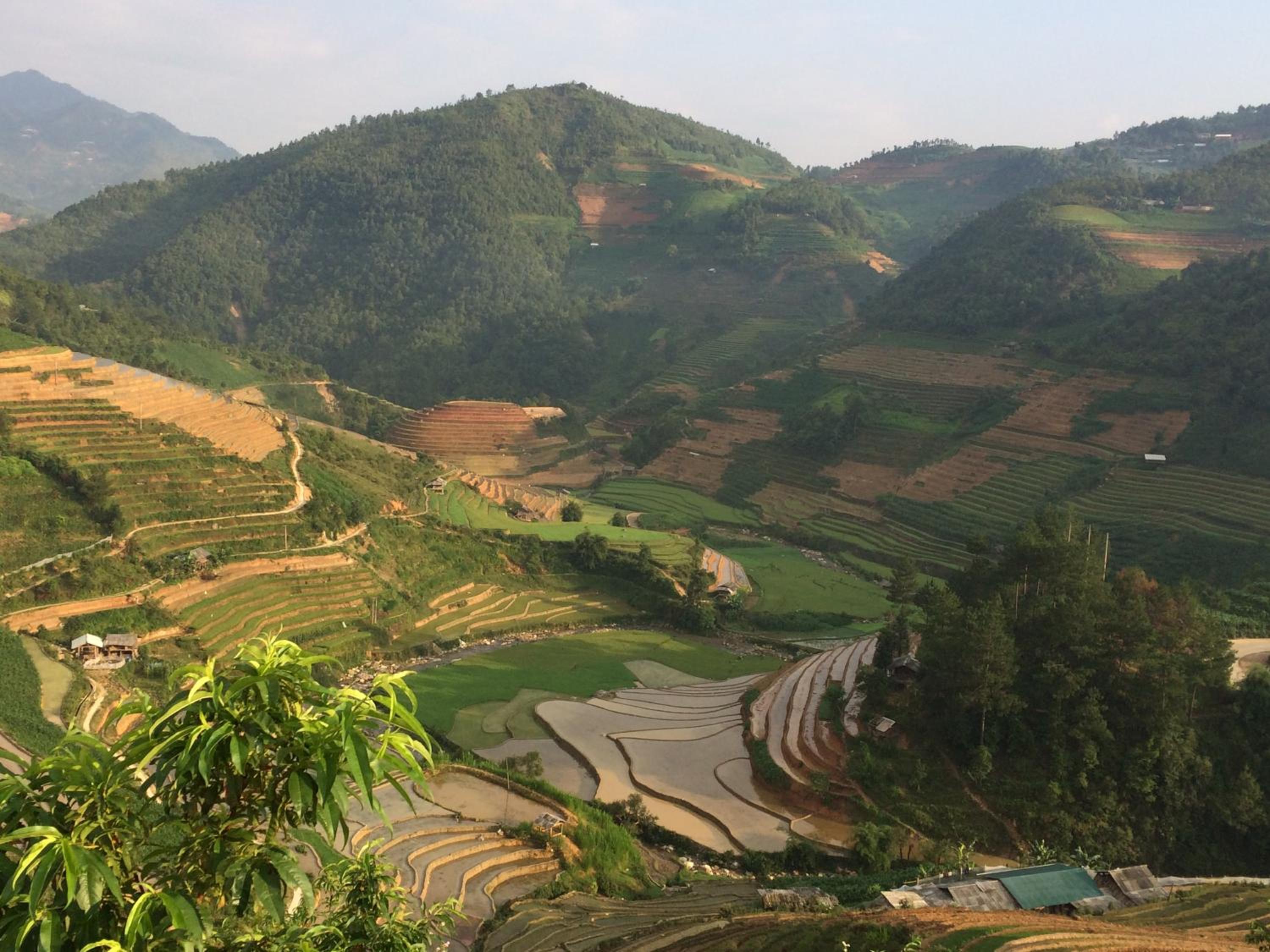 Hello Mu Cang Chai Homestay & Tours