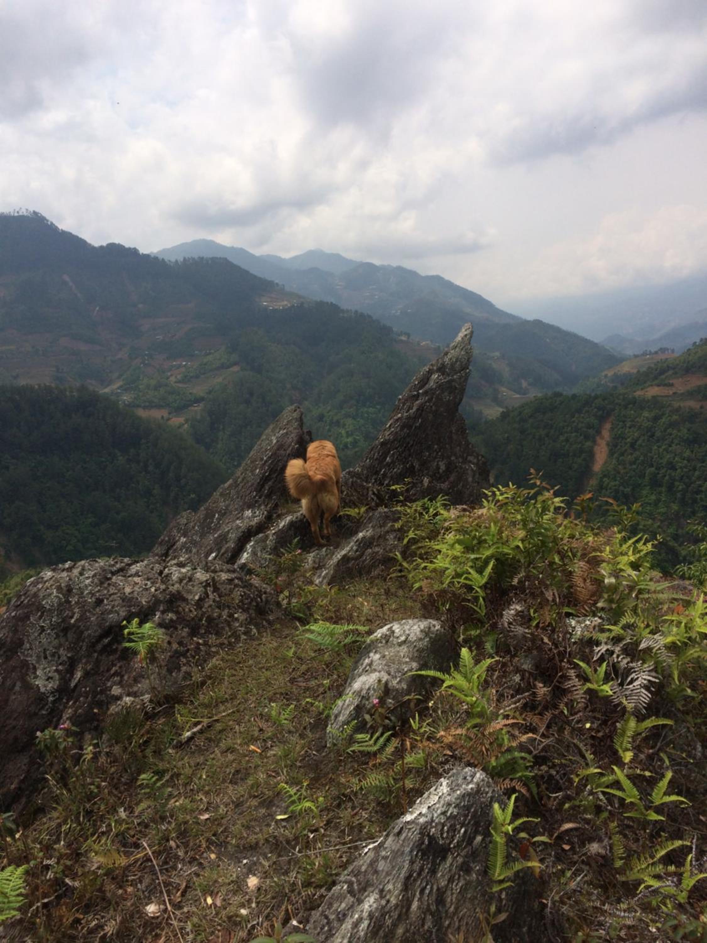 Hello Mu Cang Chai Homestay & Tours