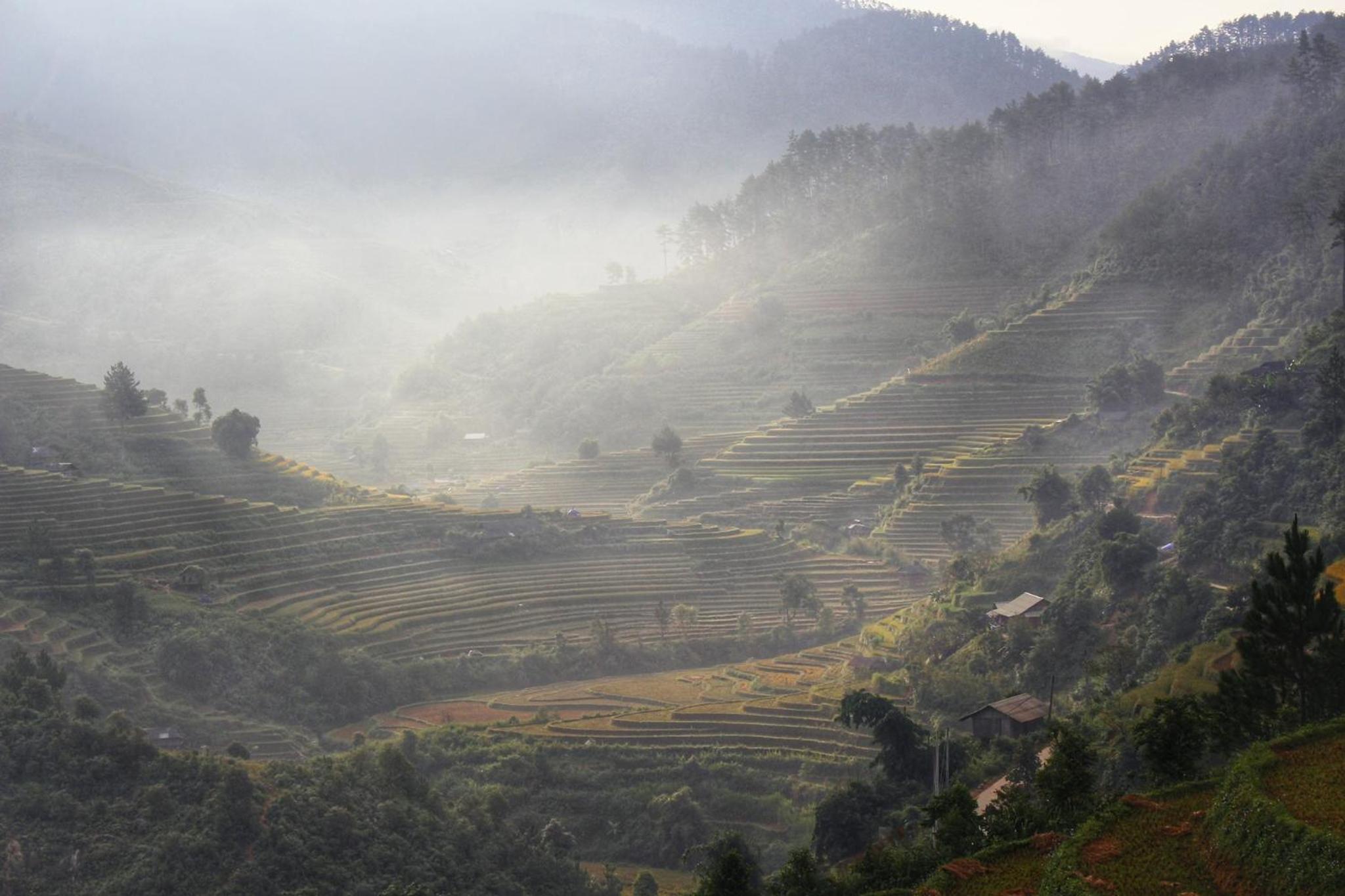 Hello Mu Cang Chai Homestay & Tours