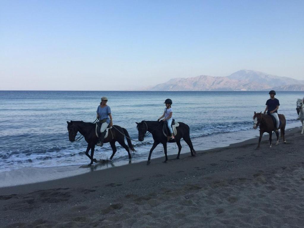 Kritikies 1 Kydonia