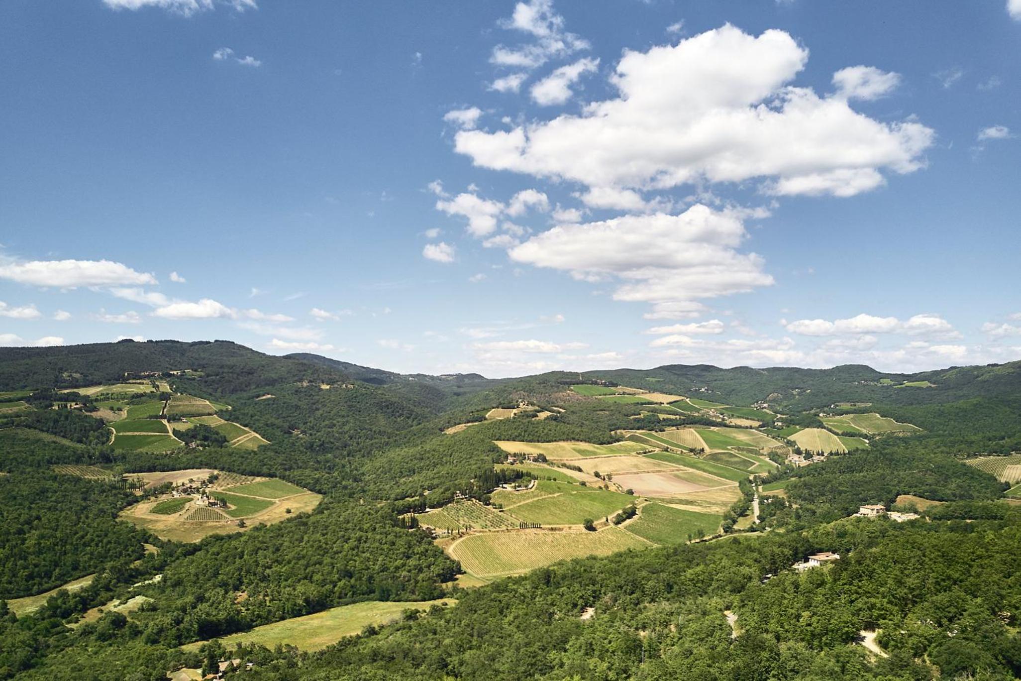 Il Mercatale di Radda