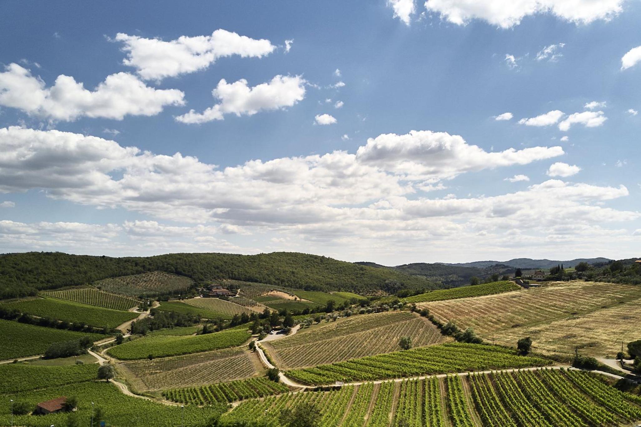 Il Mercatale di Radda