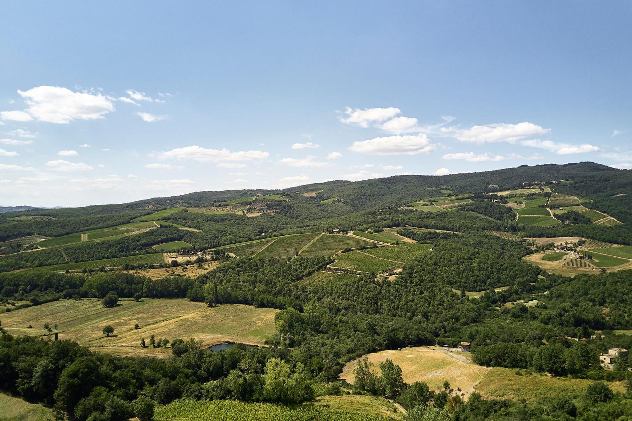 Il Mercatale di Radda