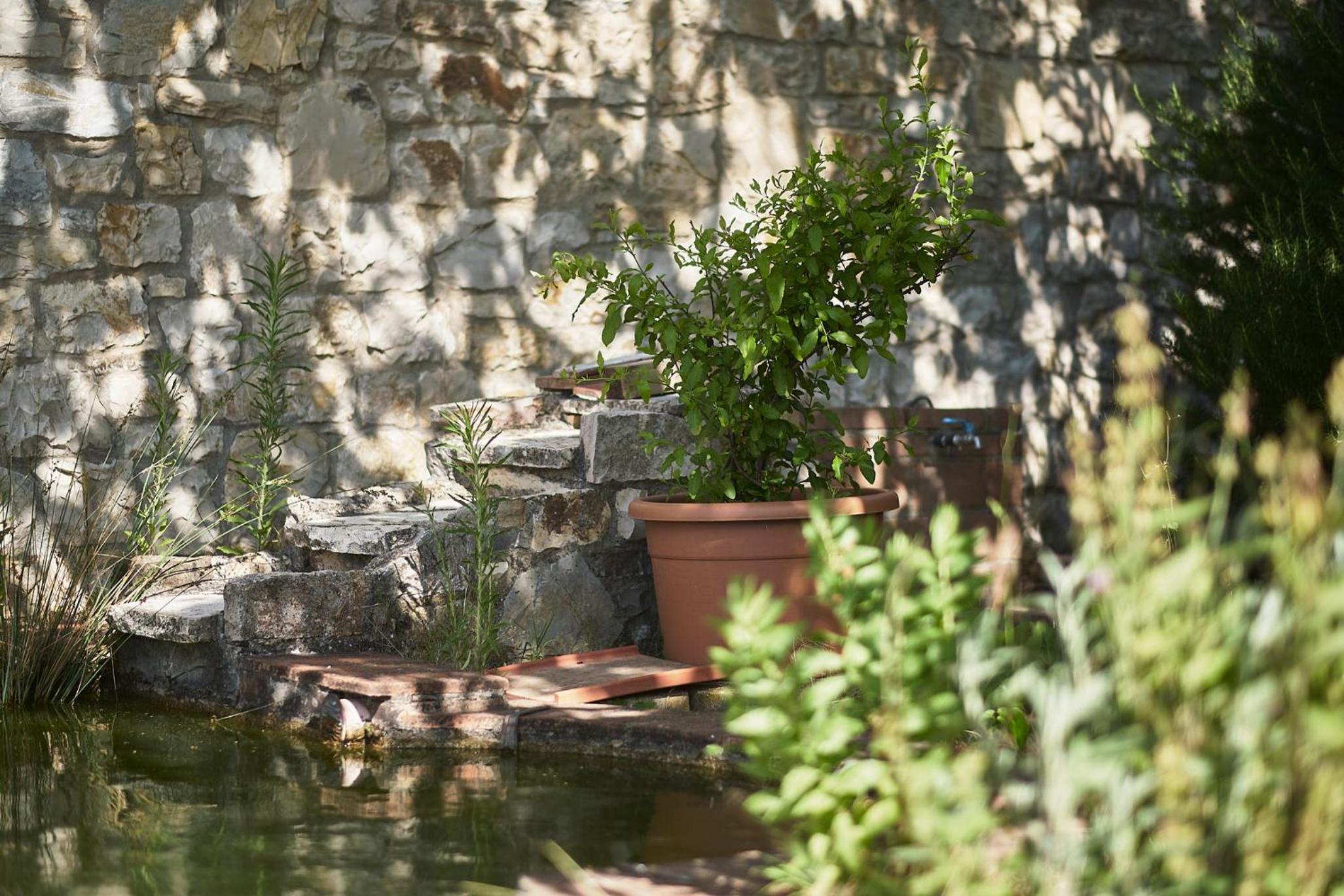 Il Mercatale di Radda