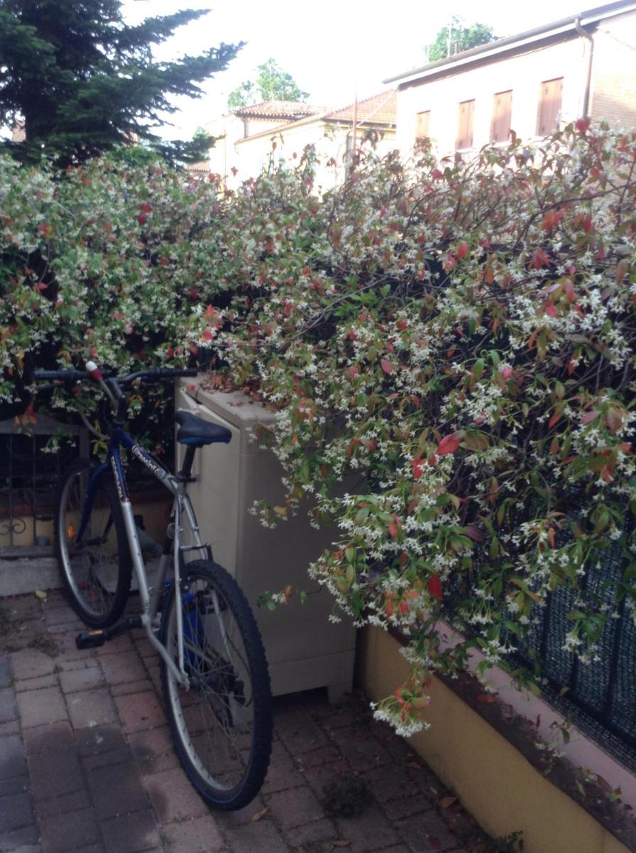 Residenza Ducale photo 3