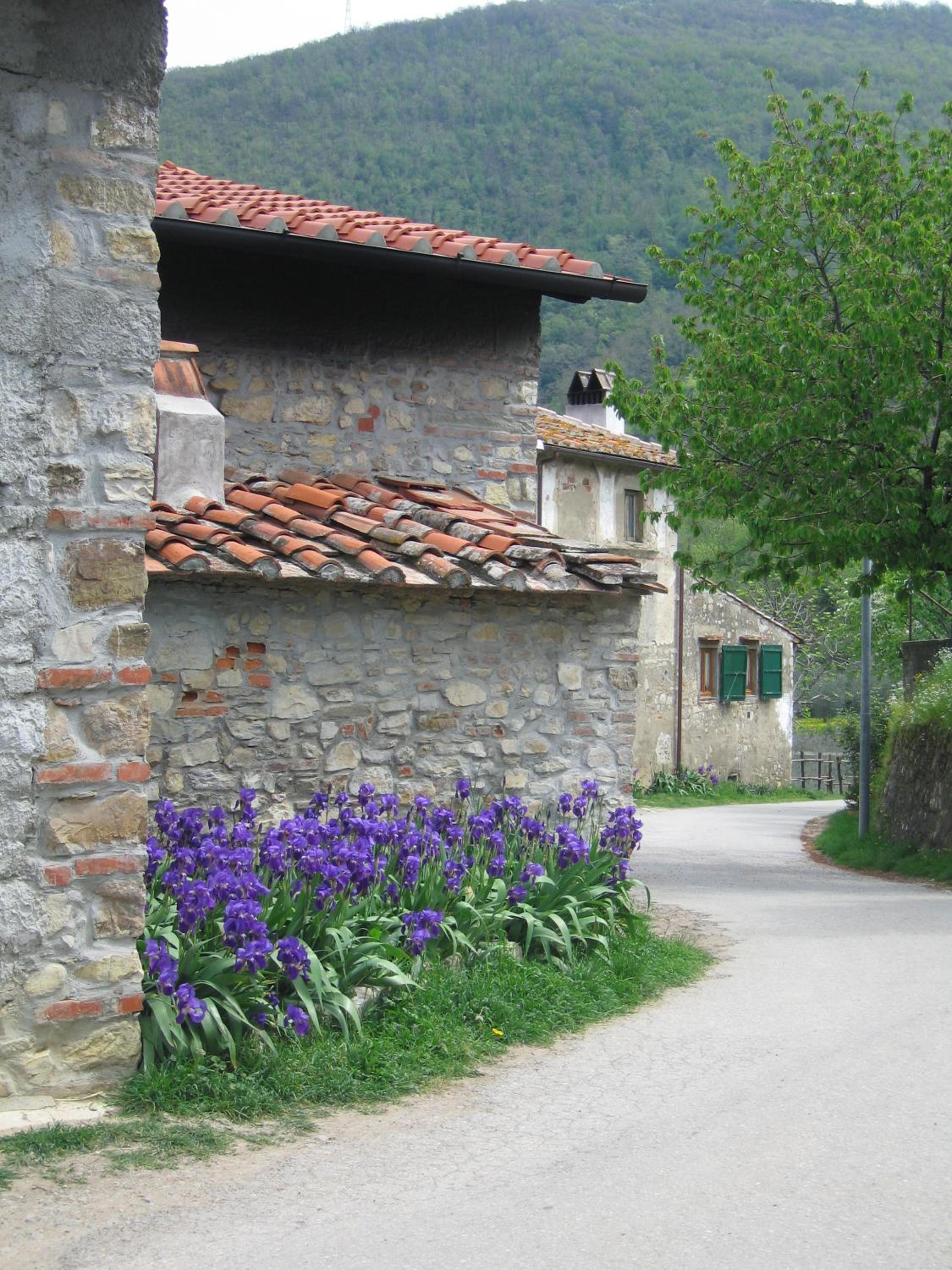 Photo 47