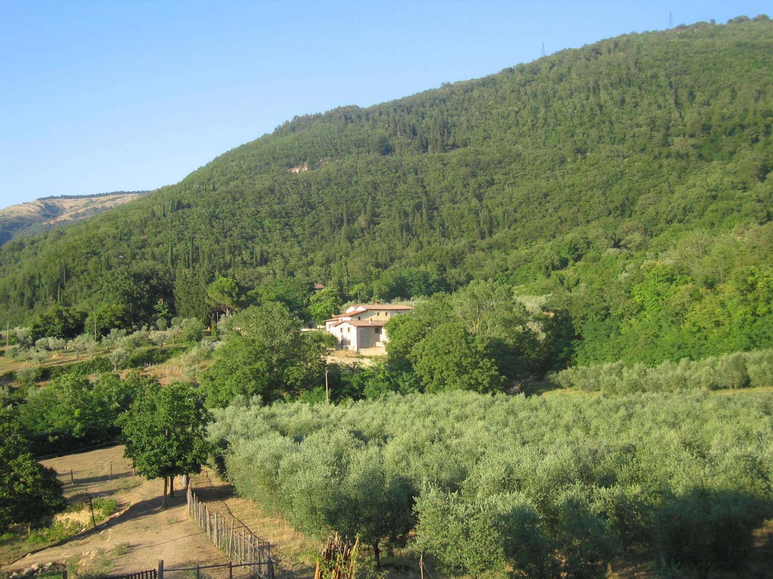 Photo 48