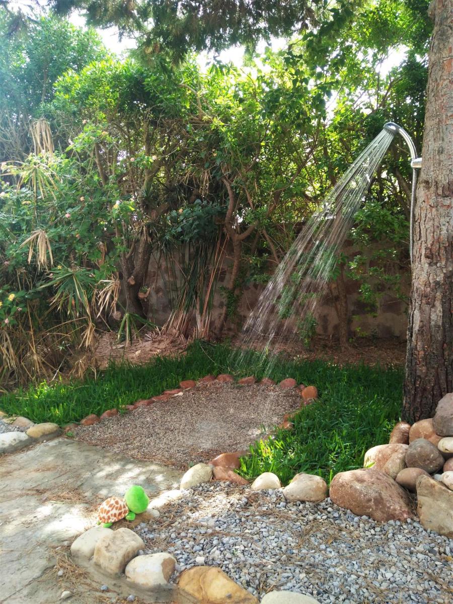 Dar Gitta & Wood El Haouaria