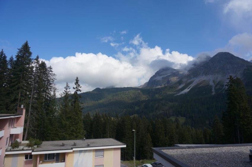 Paradies 505 view 3
