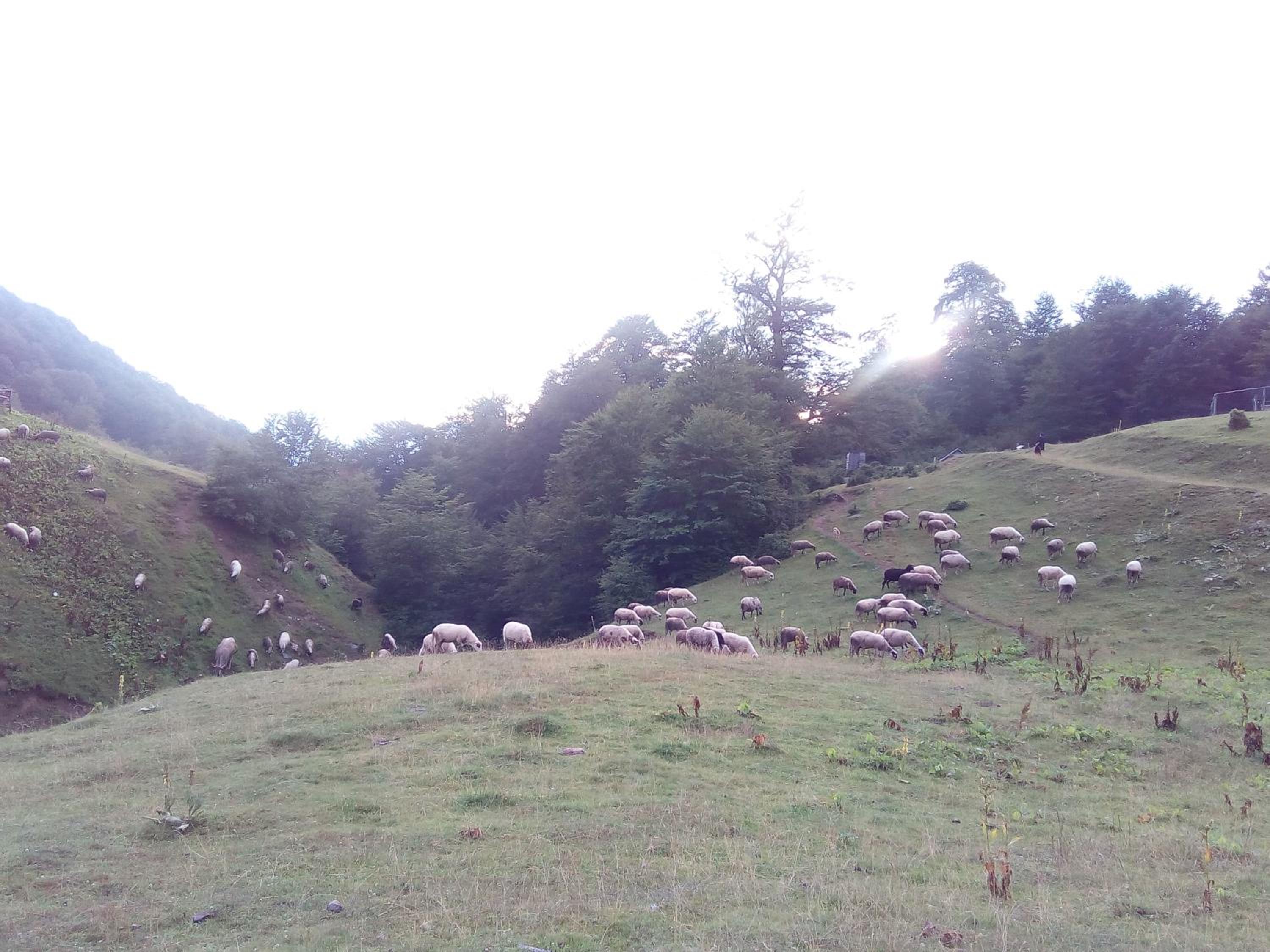 Eco Village Goles view 4