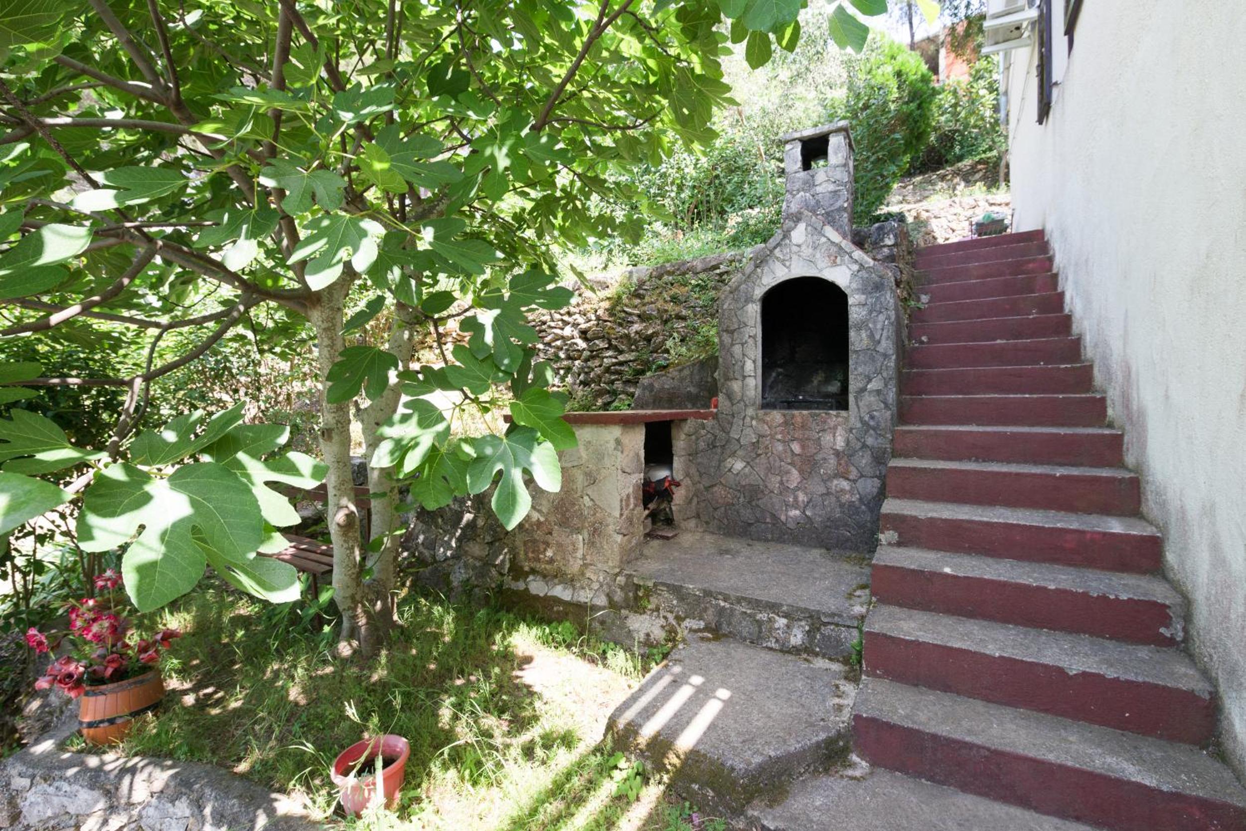 Photo 45