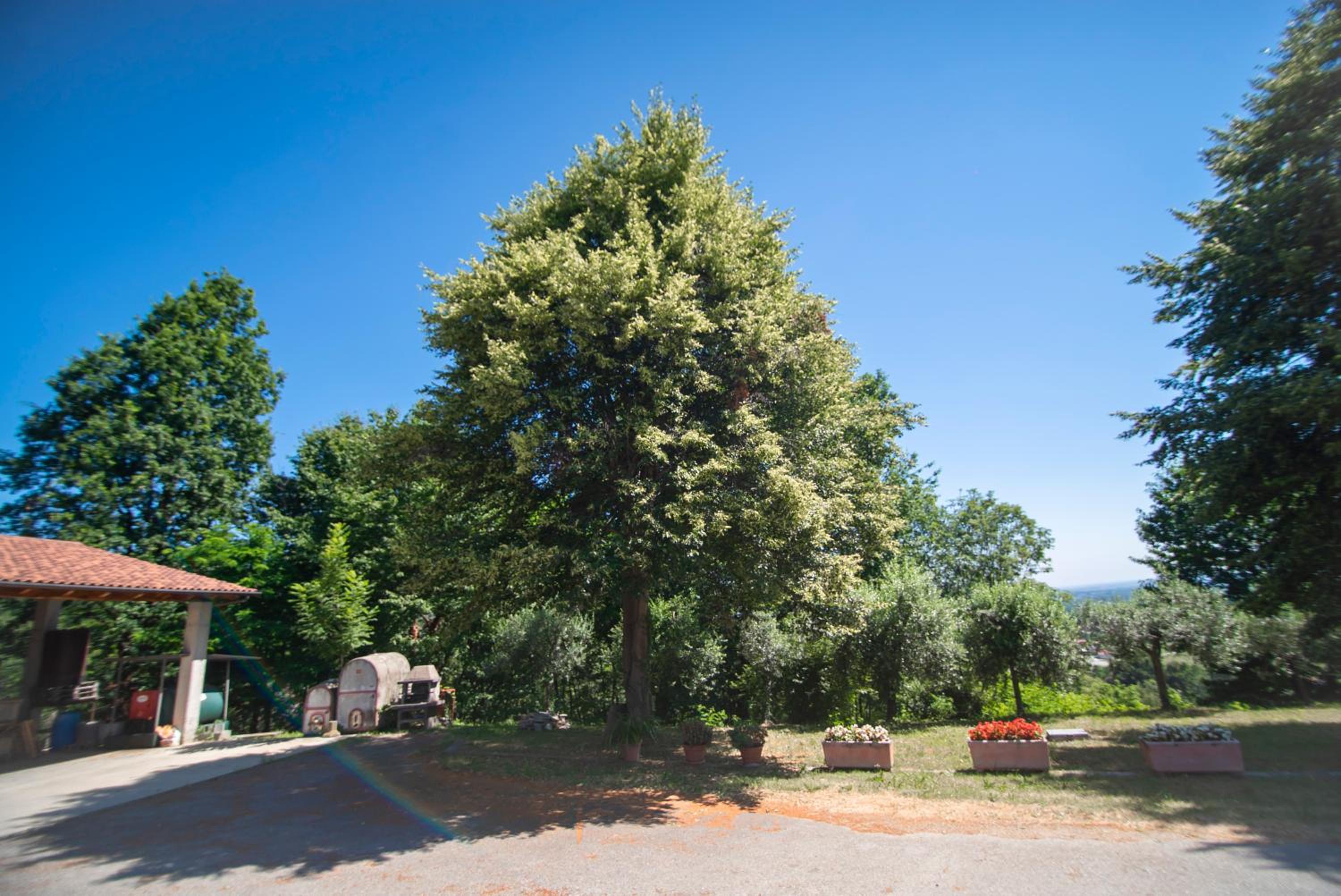 Agriturismo Turina
