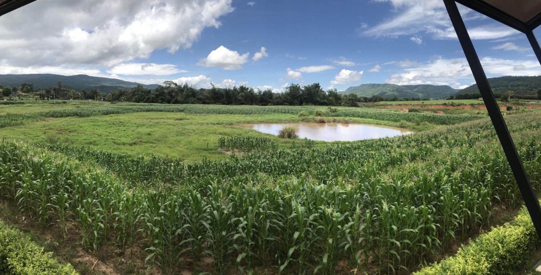 Phuruakeeree Resort