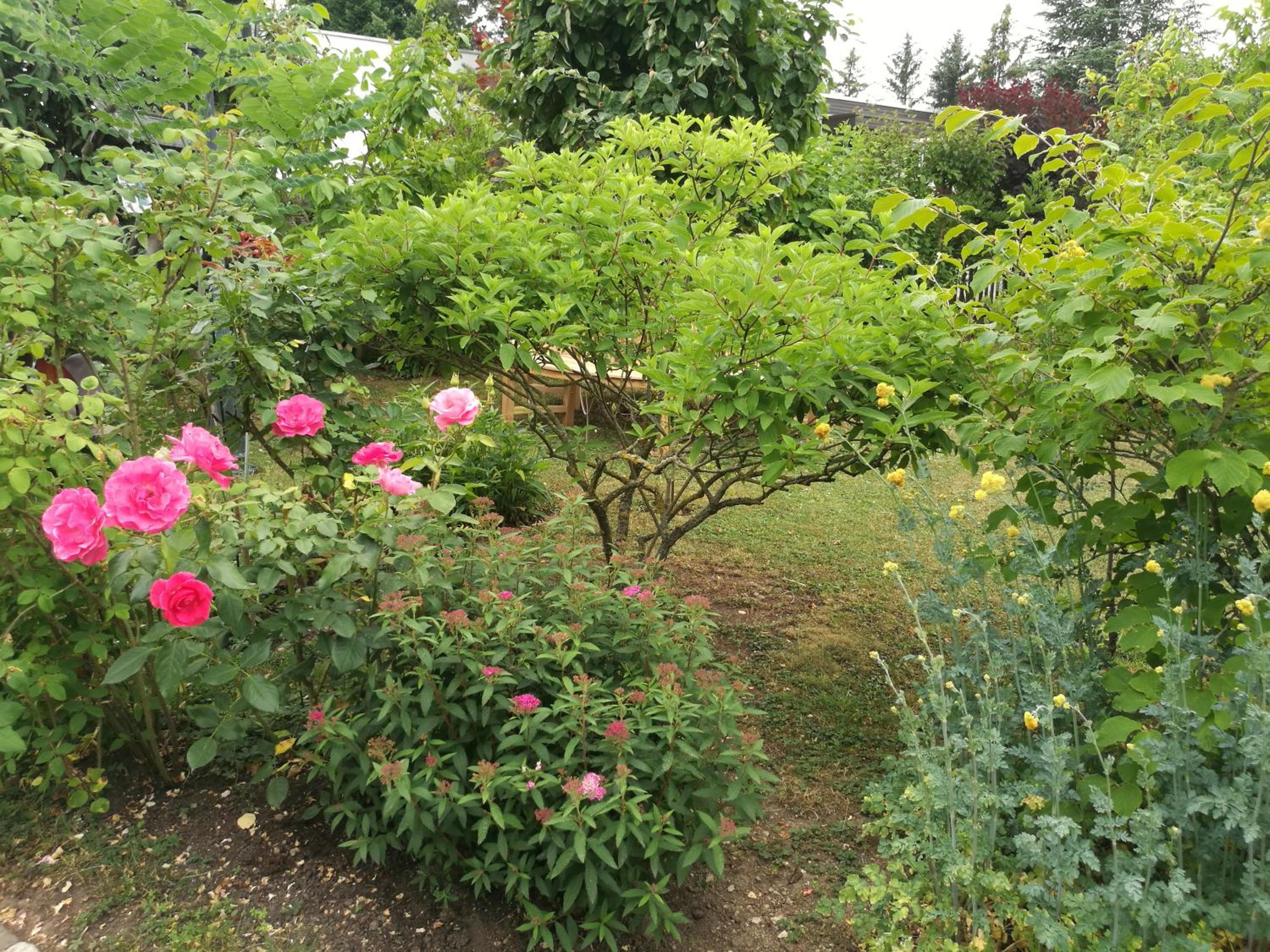 Photo 22
