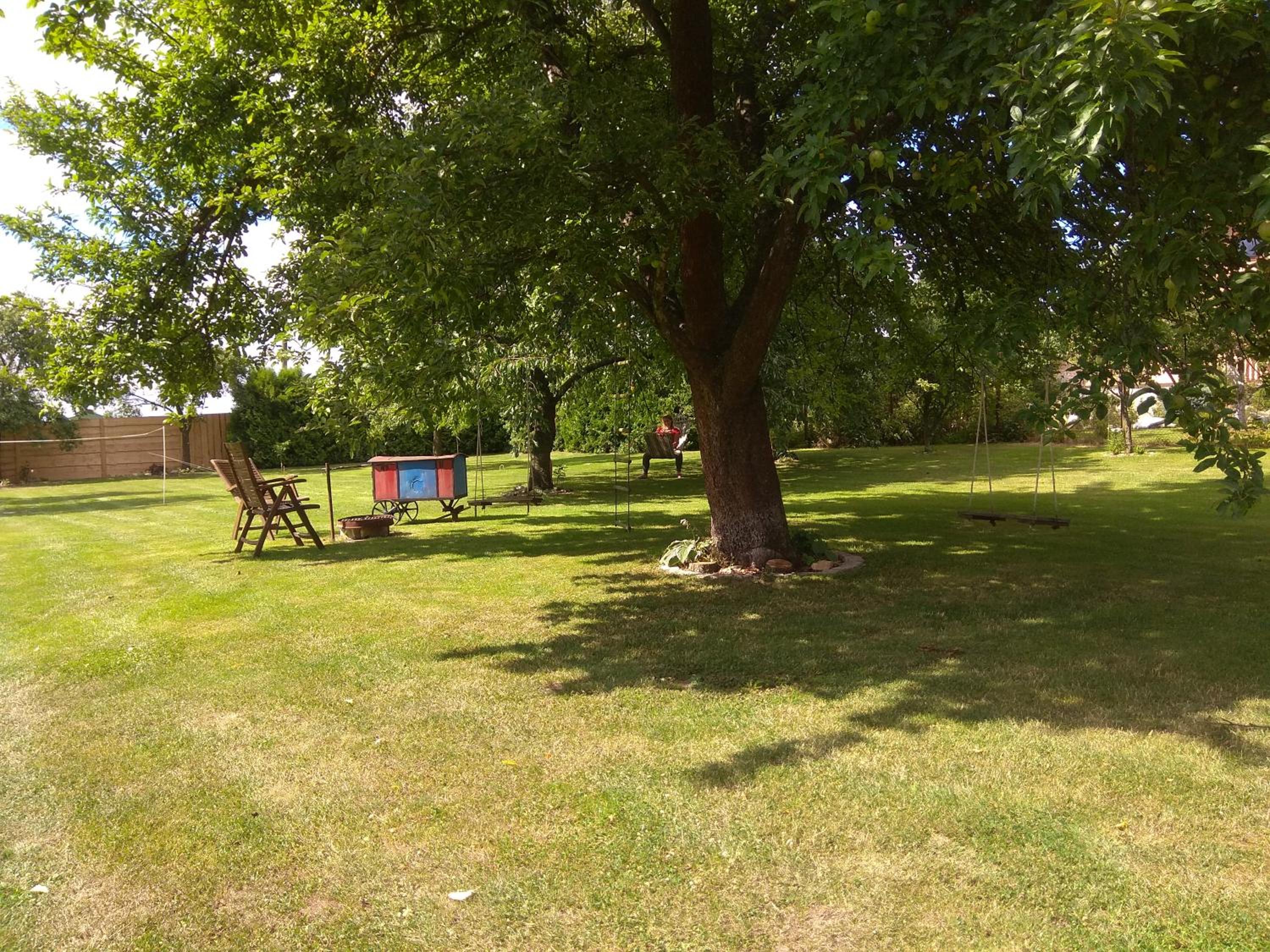 Photo 33