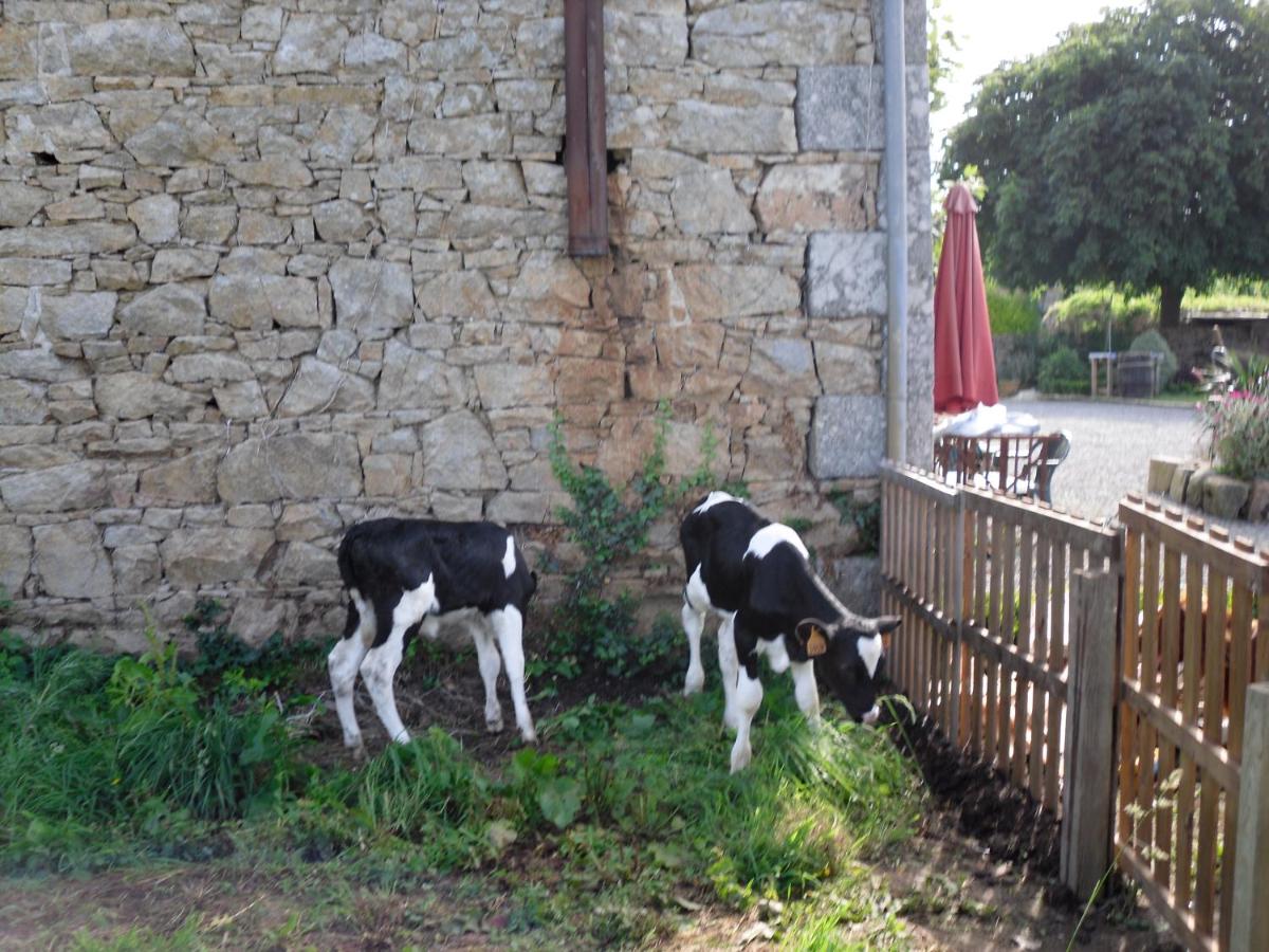 Le Cheval Rouge