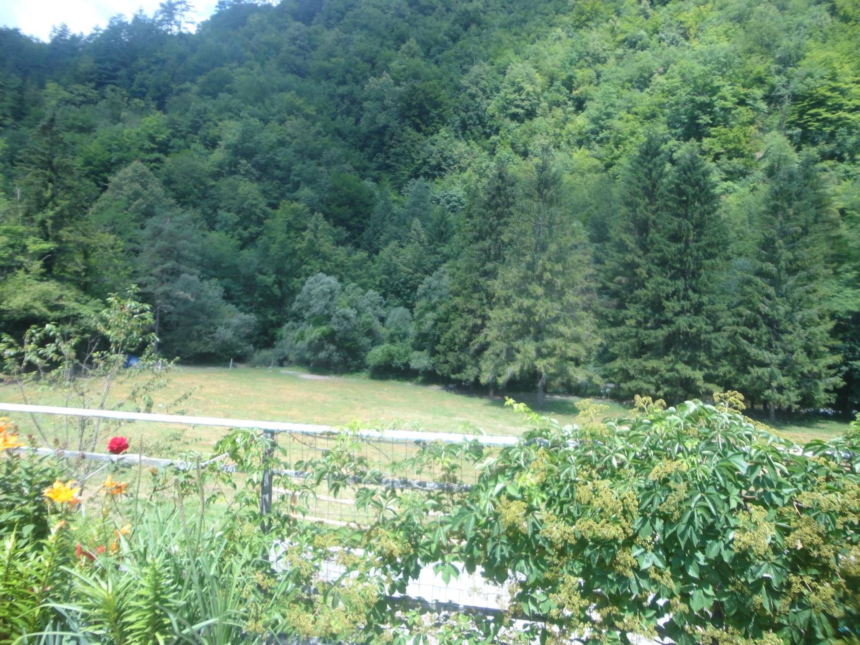 Photo 31