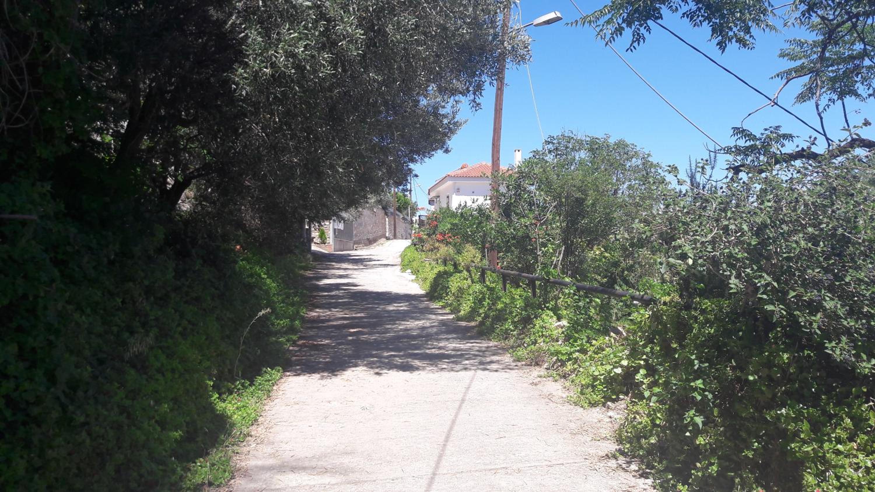 Photo 41