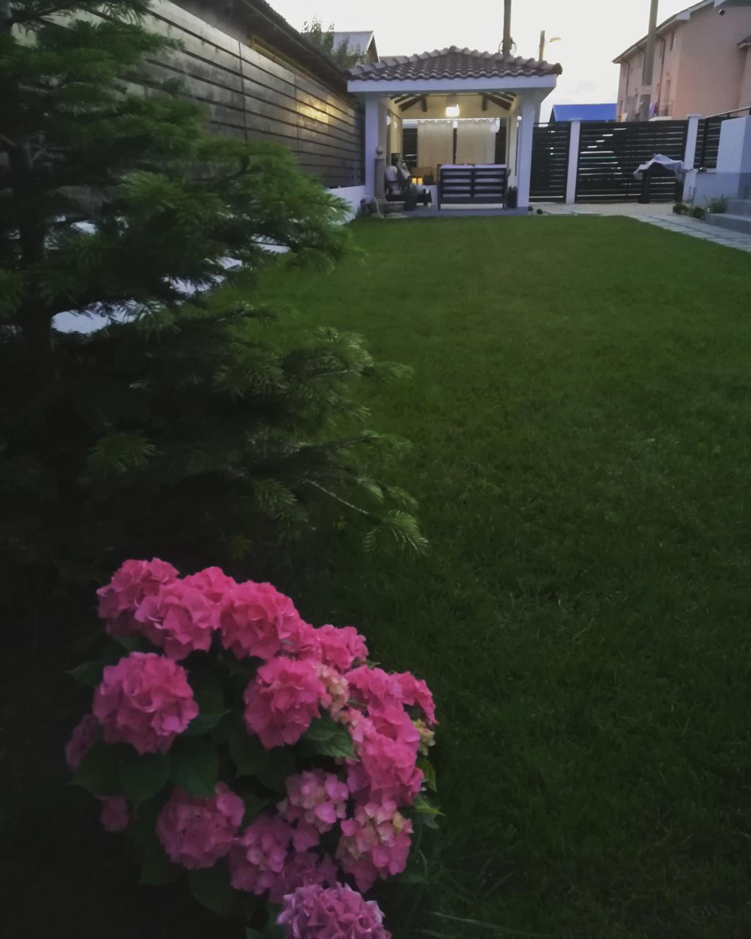 Photo 38