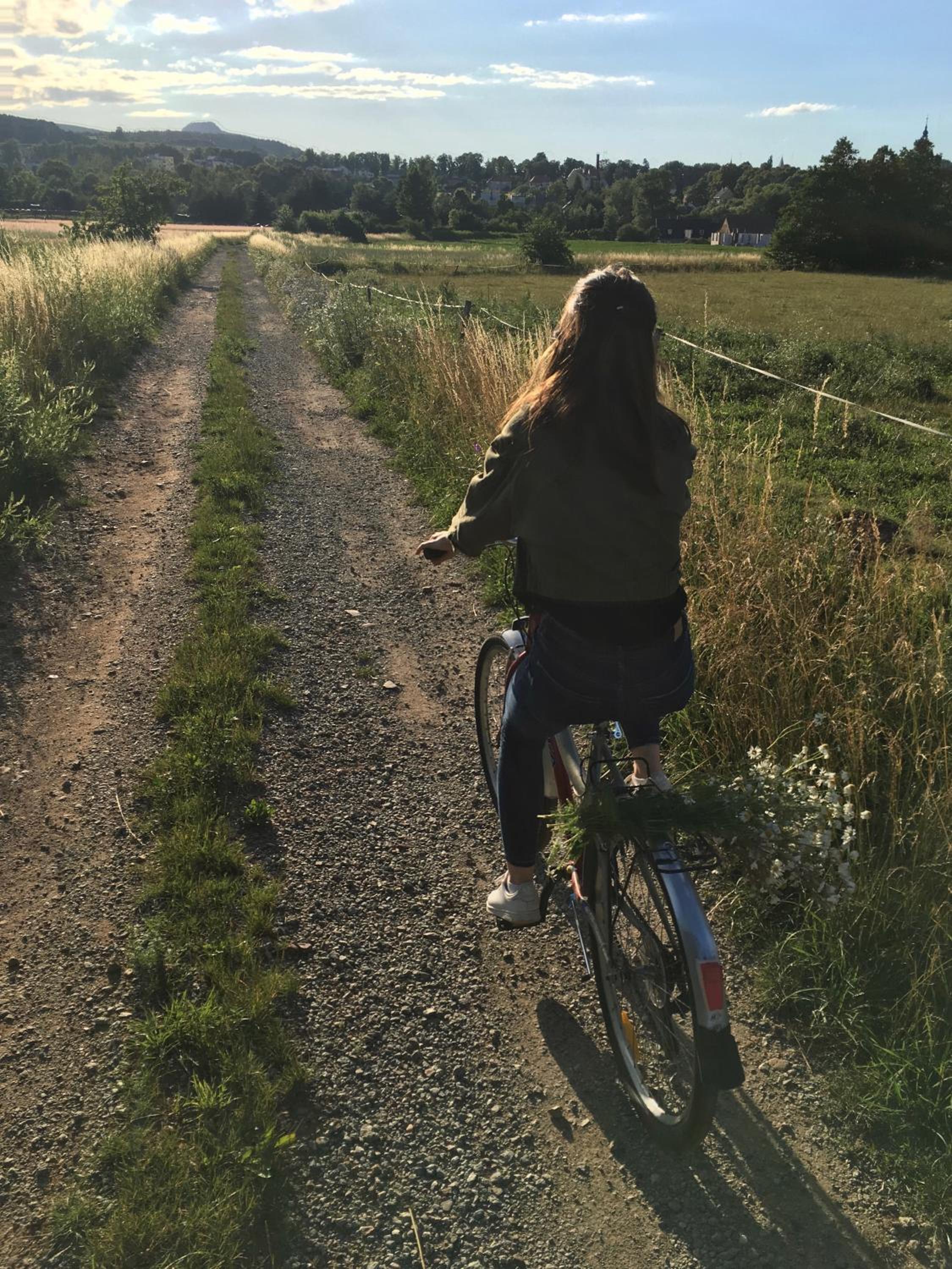 Photo 27