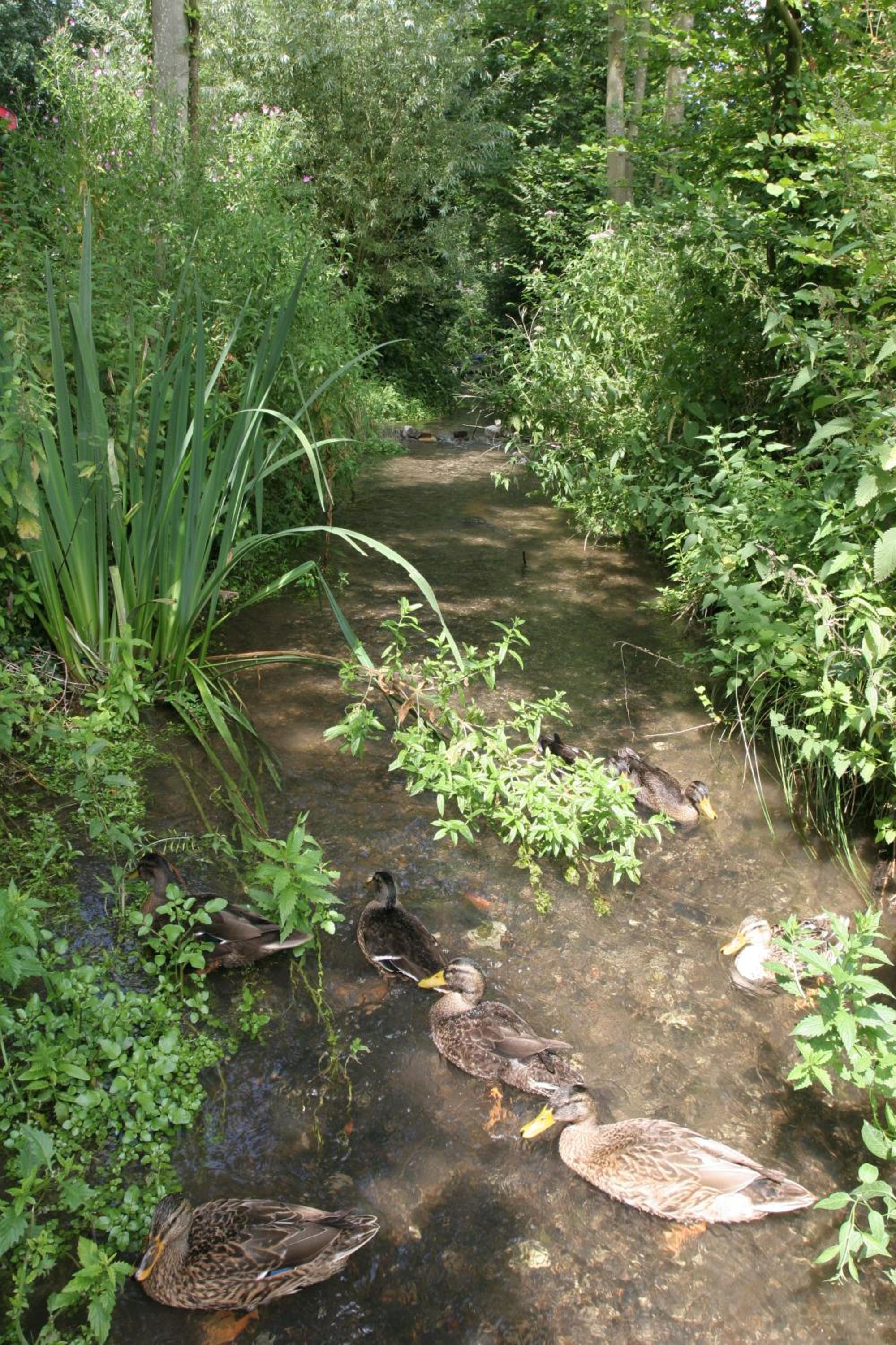 Photo 7