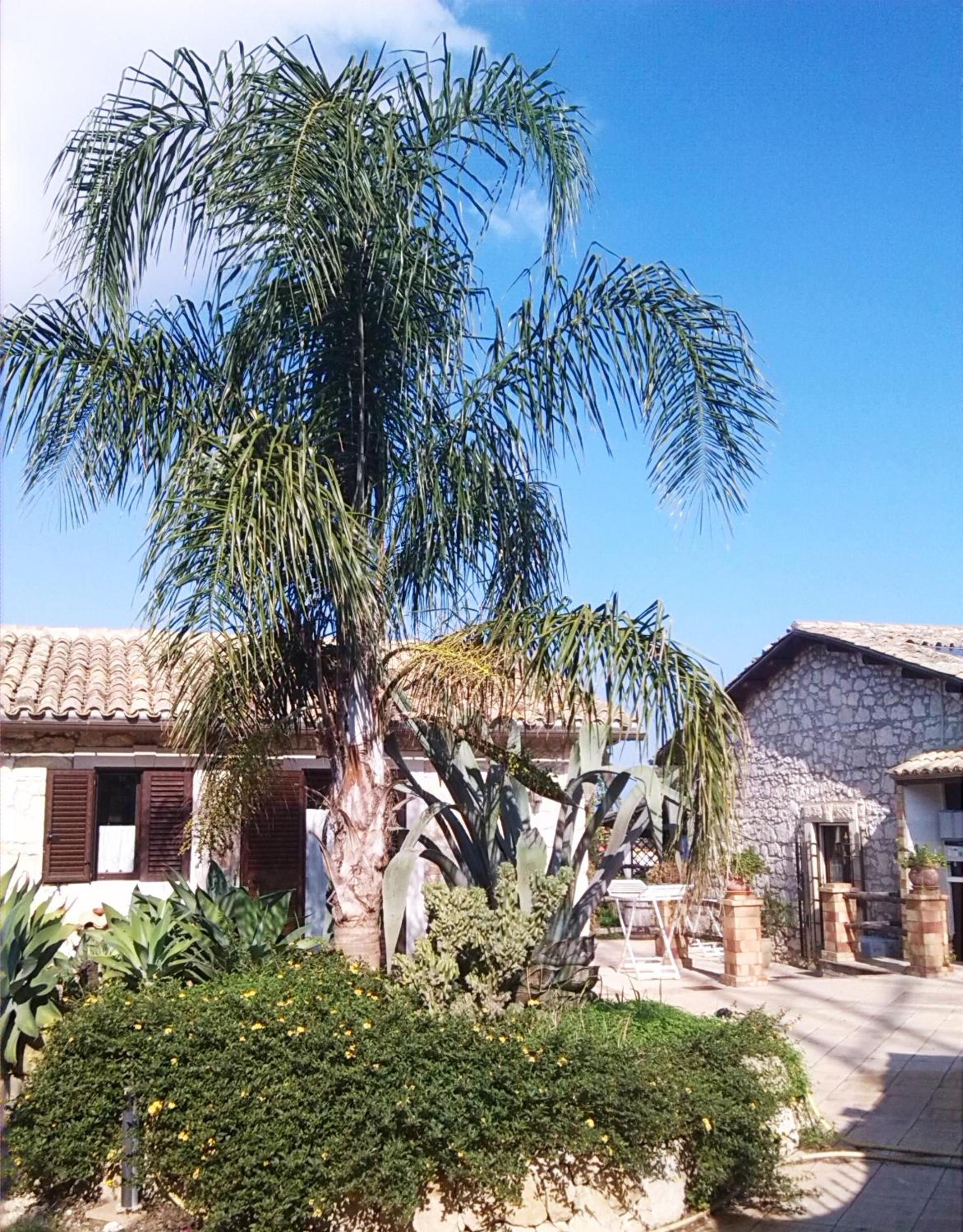 B&B Villa Giusy, photo 30