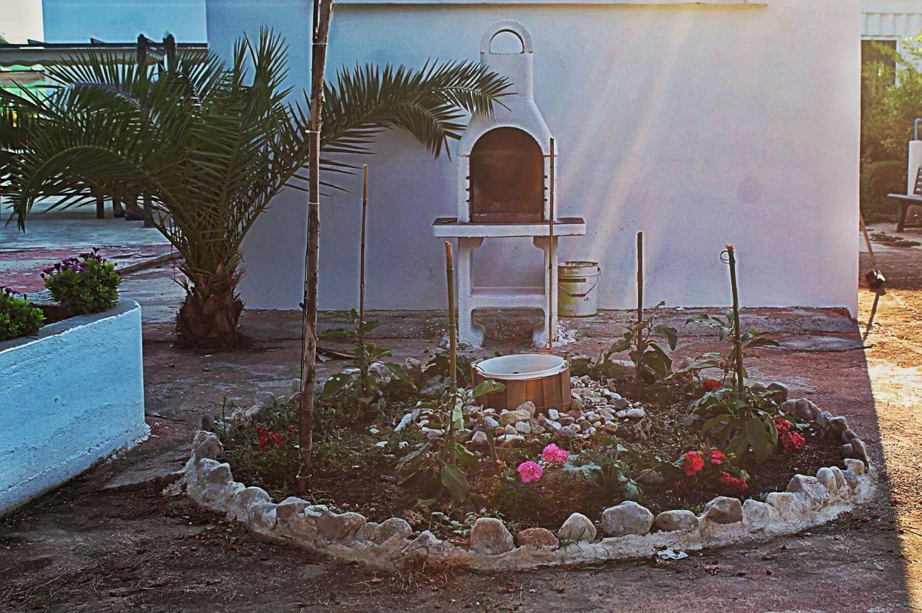 Photo 44