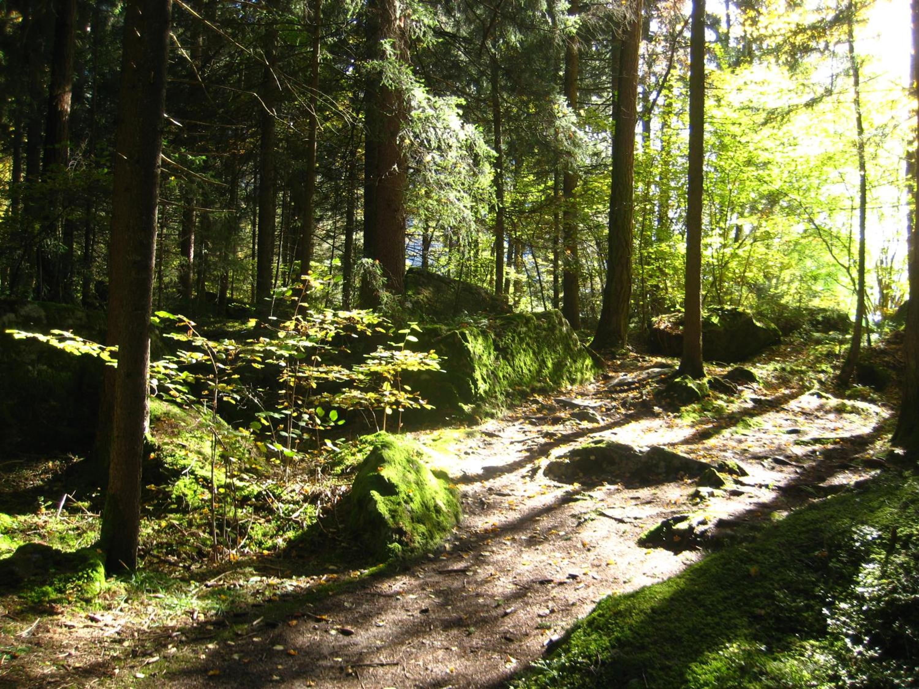 Haus Tirolerland