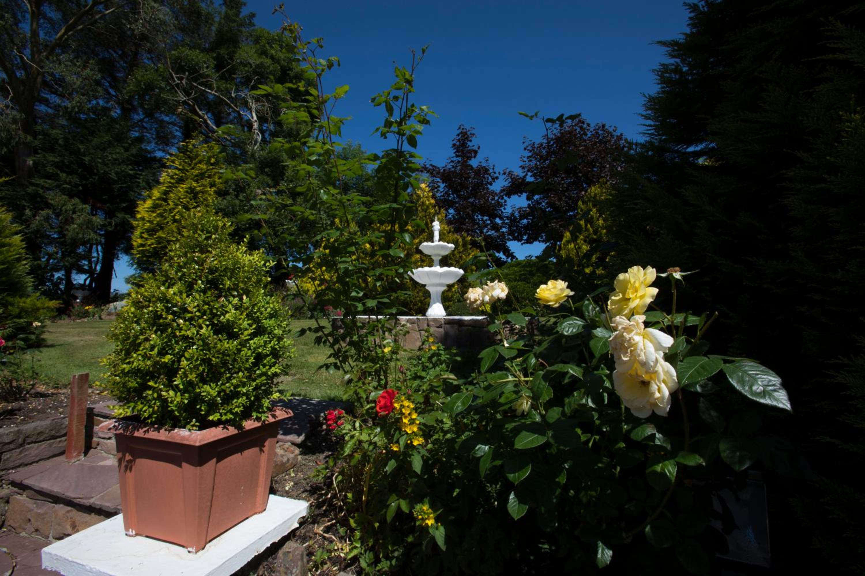 Photo 20