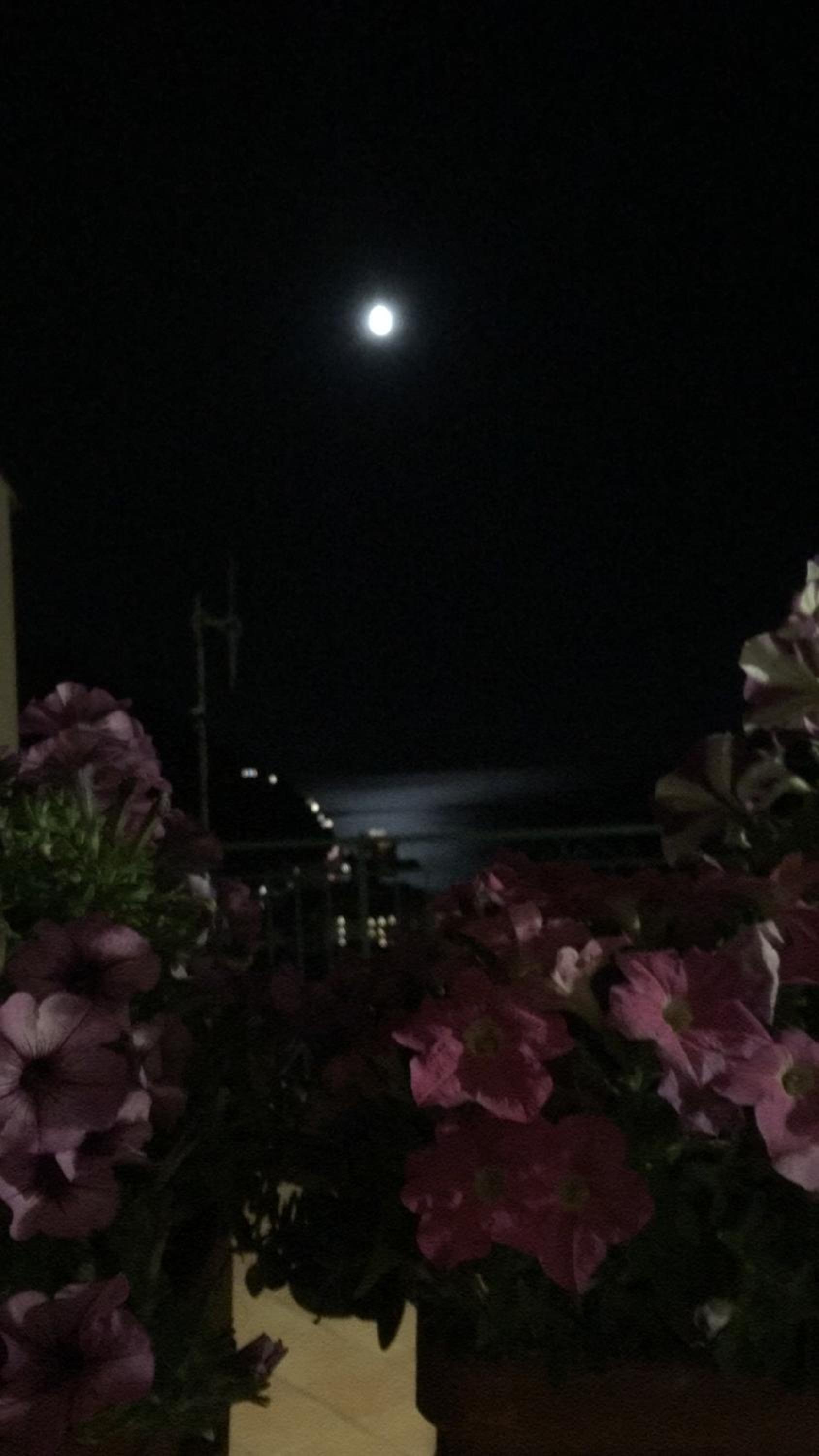 Palazzo Cocò Sentiero dei Limoni photo 2