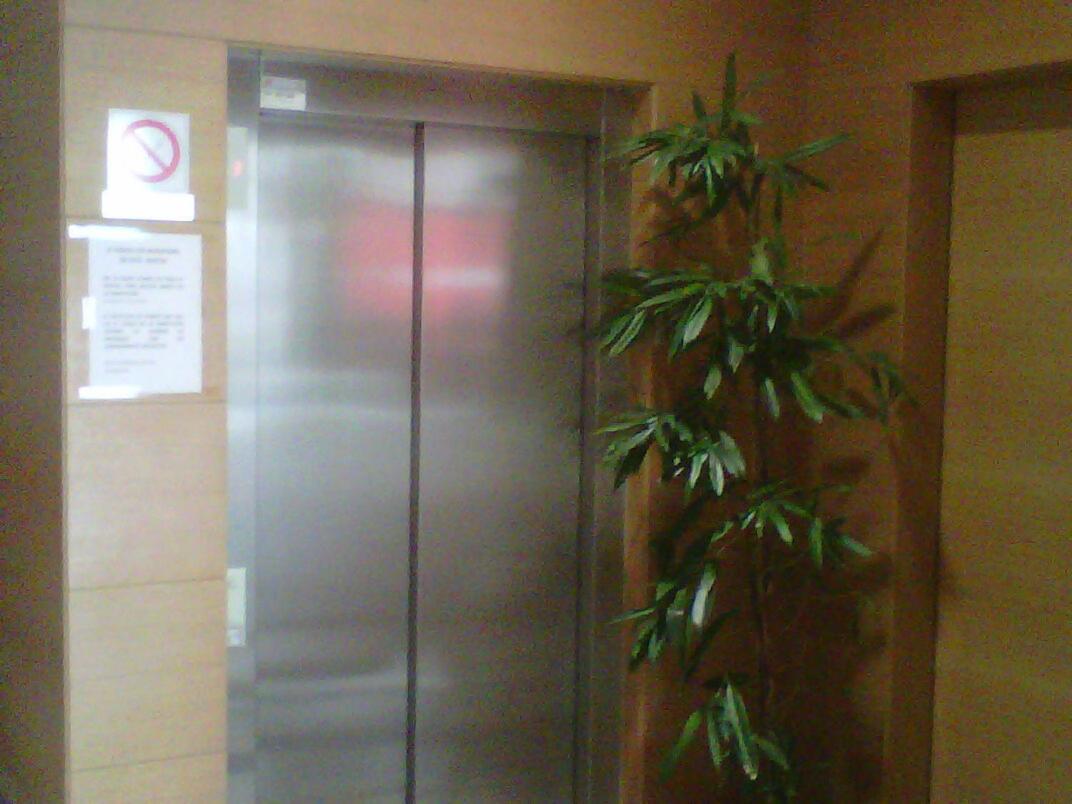 Photo 51