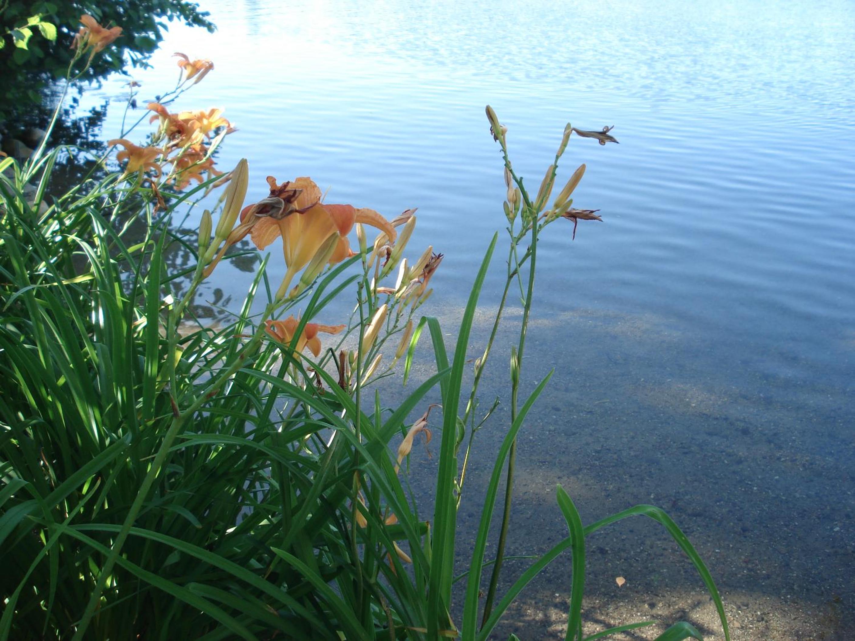 Photo 21