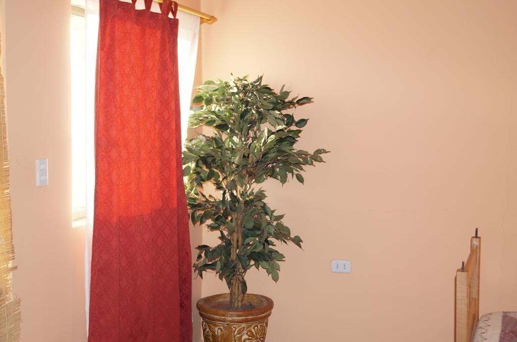 Hostal Intipara