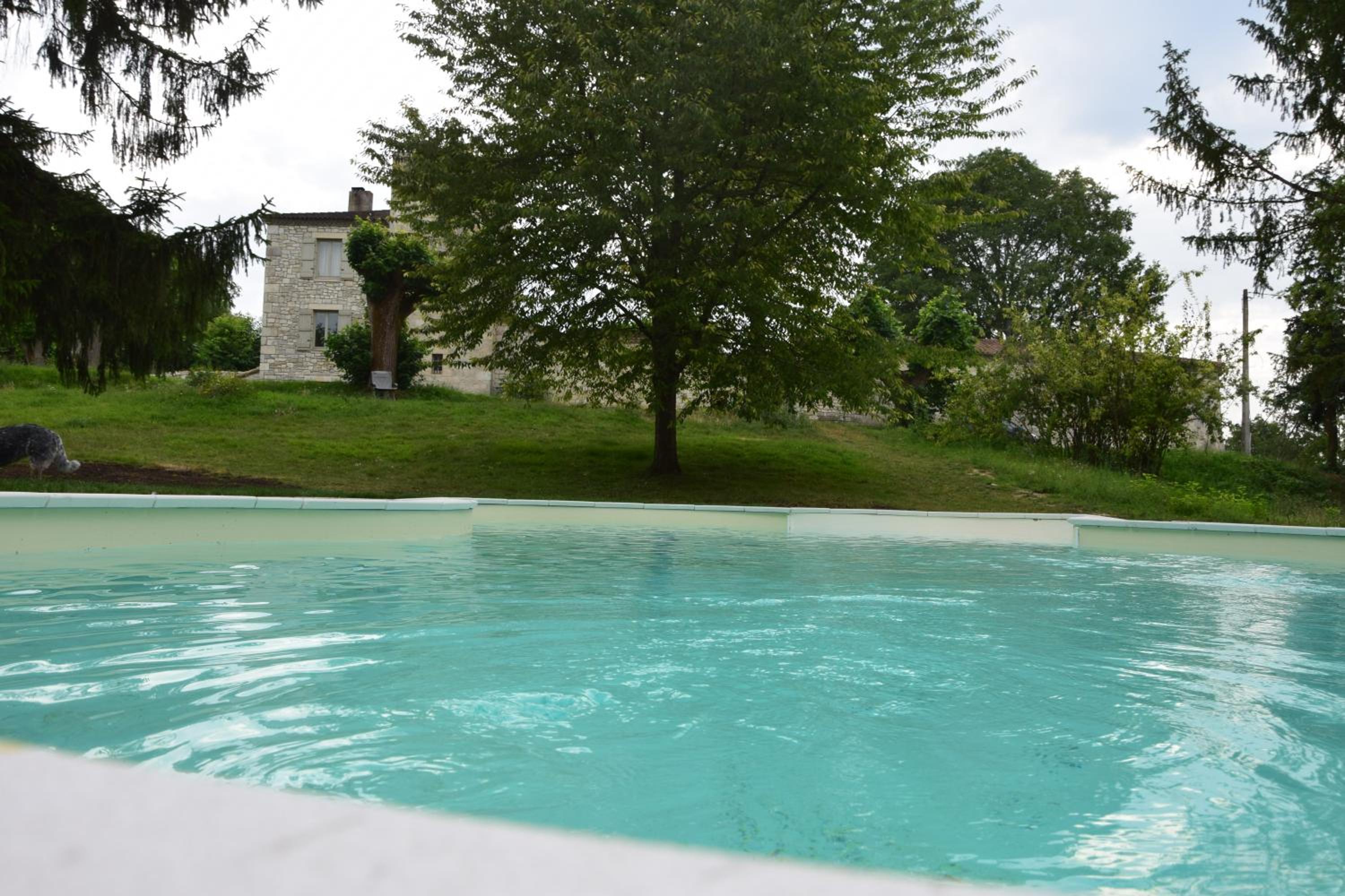 Photo 8