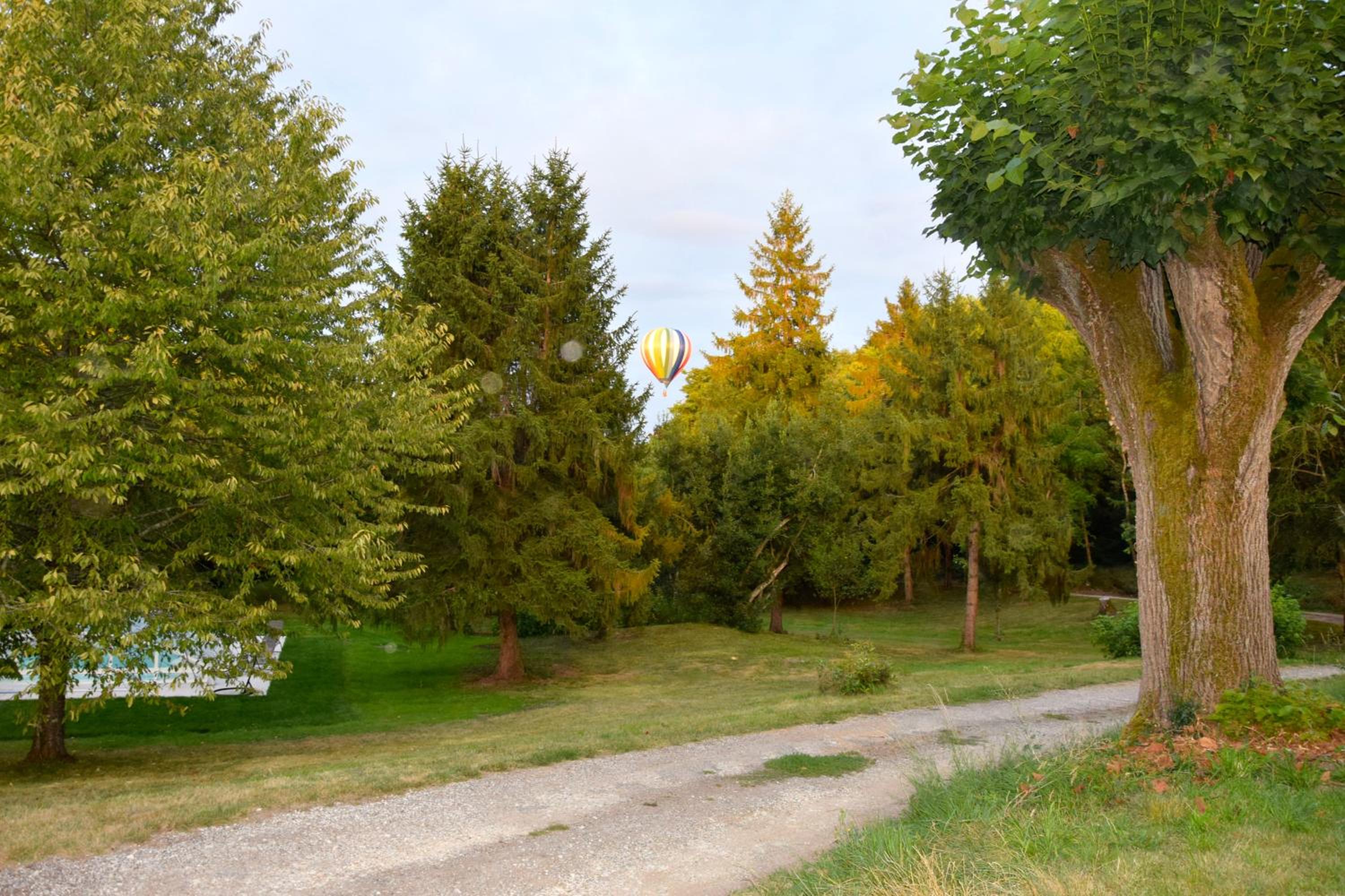 Photo 13
