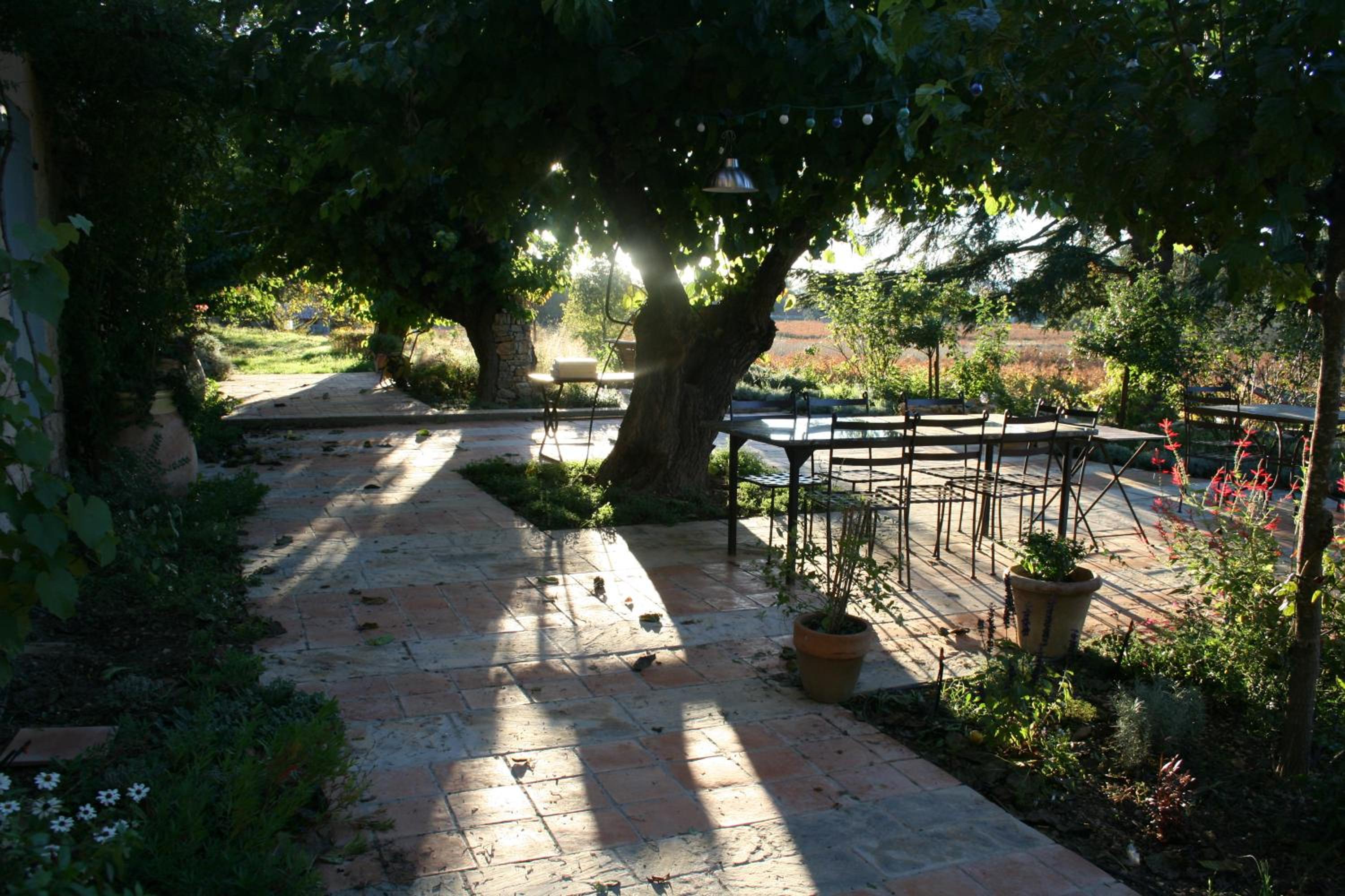 Photo 41