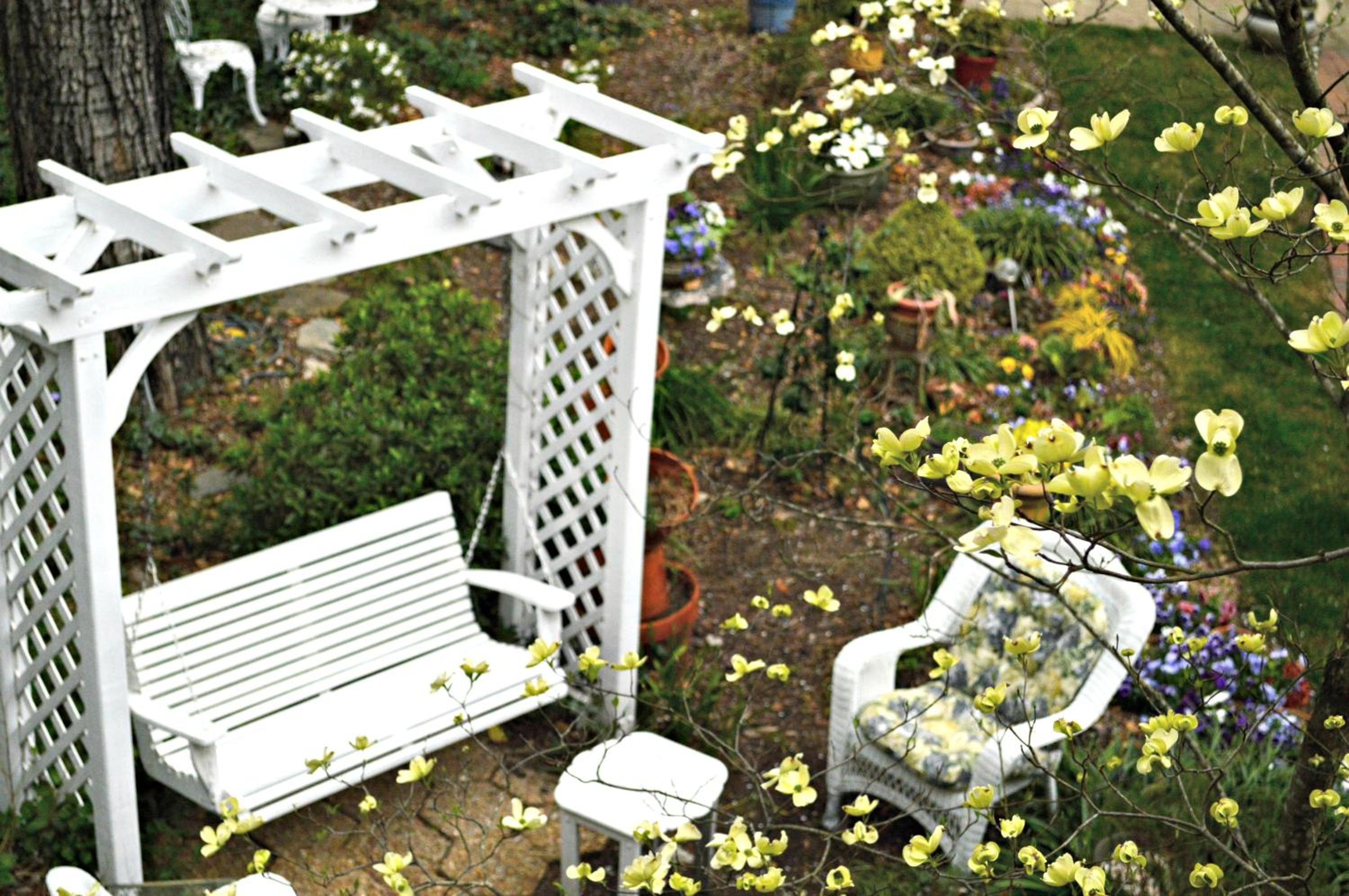 Pettigru Place Bed & Breakfast