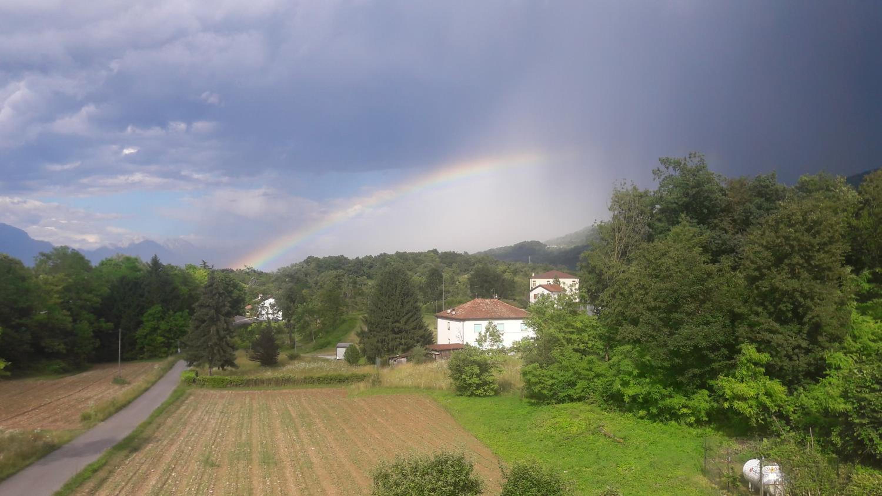 Photo 29