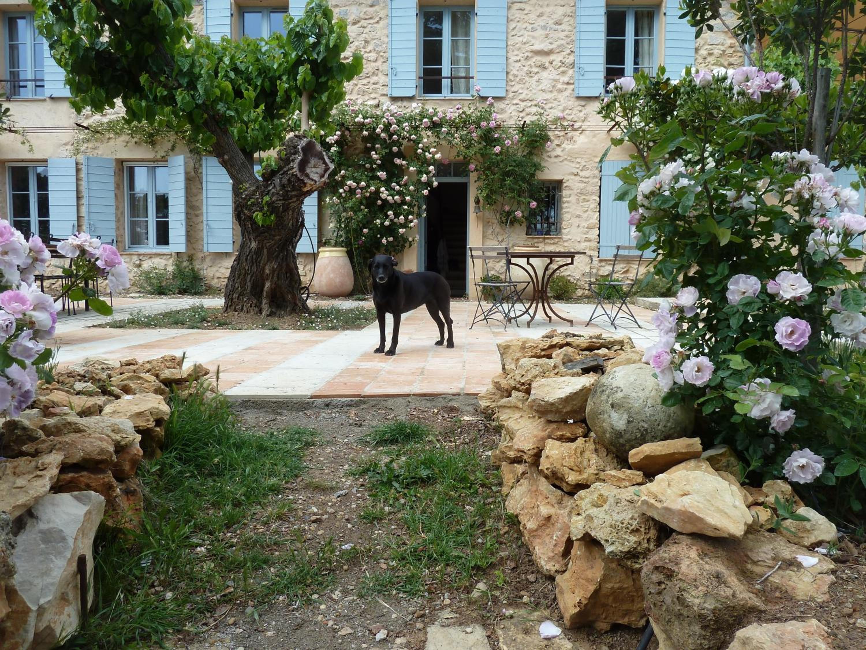 Photo 47