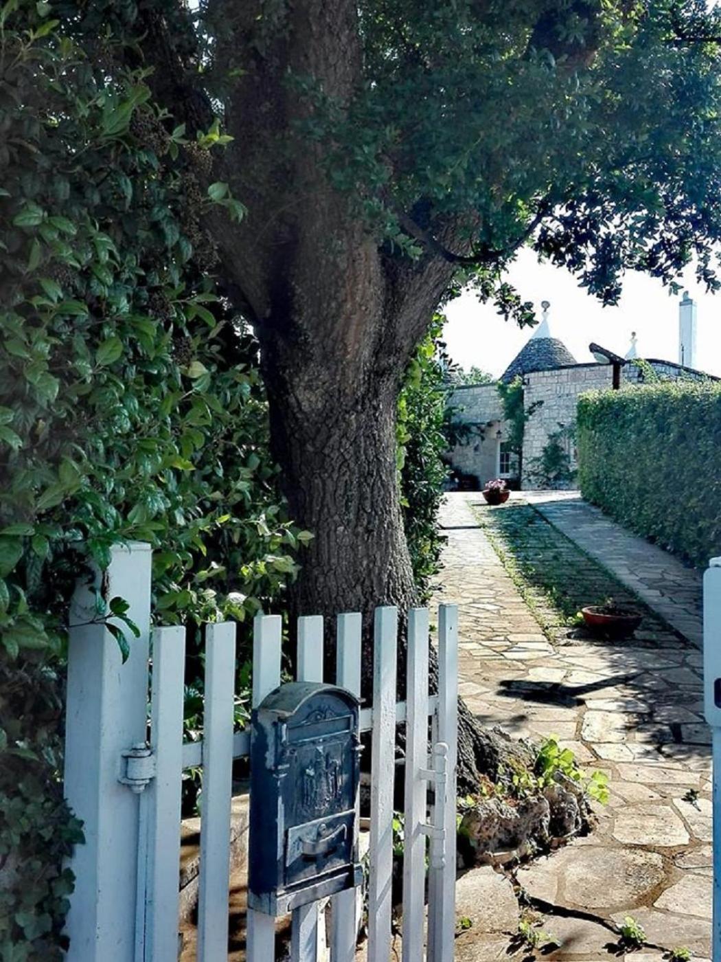 Photo 14