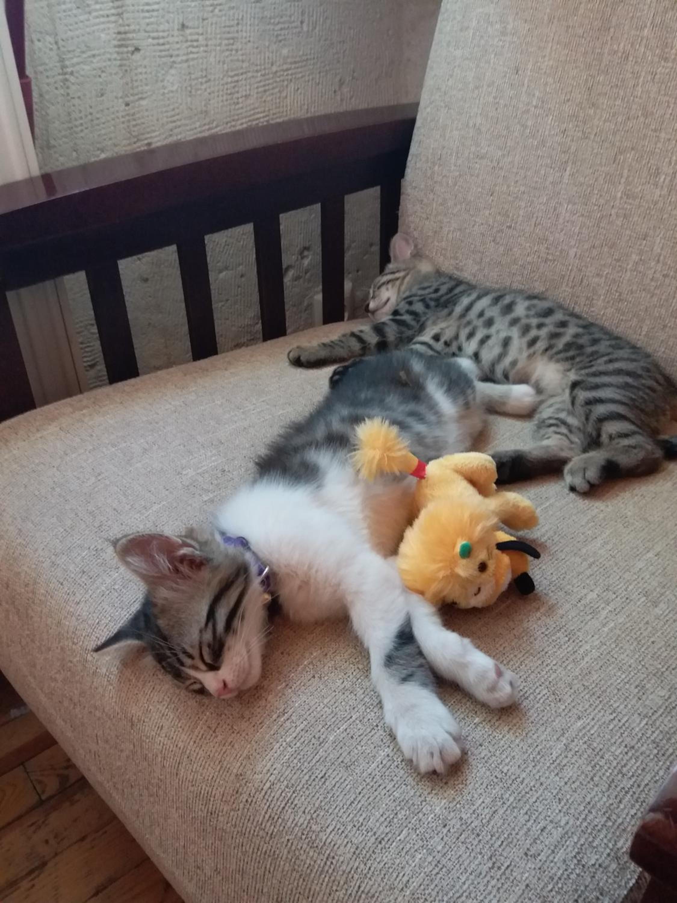 Karadut Cave Hotel - Image 34