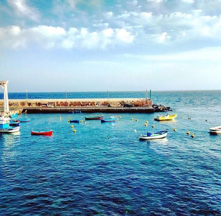Terrazas del Sur