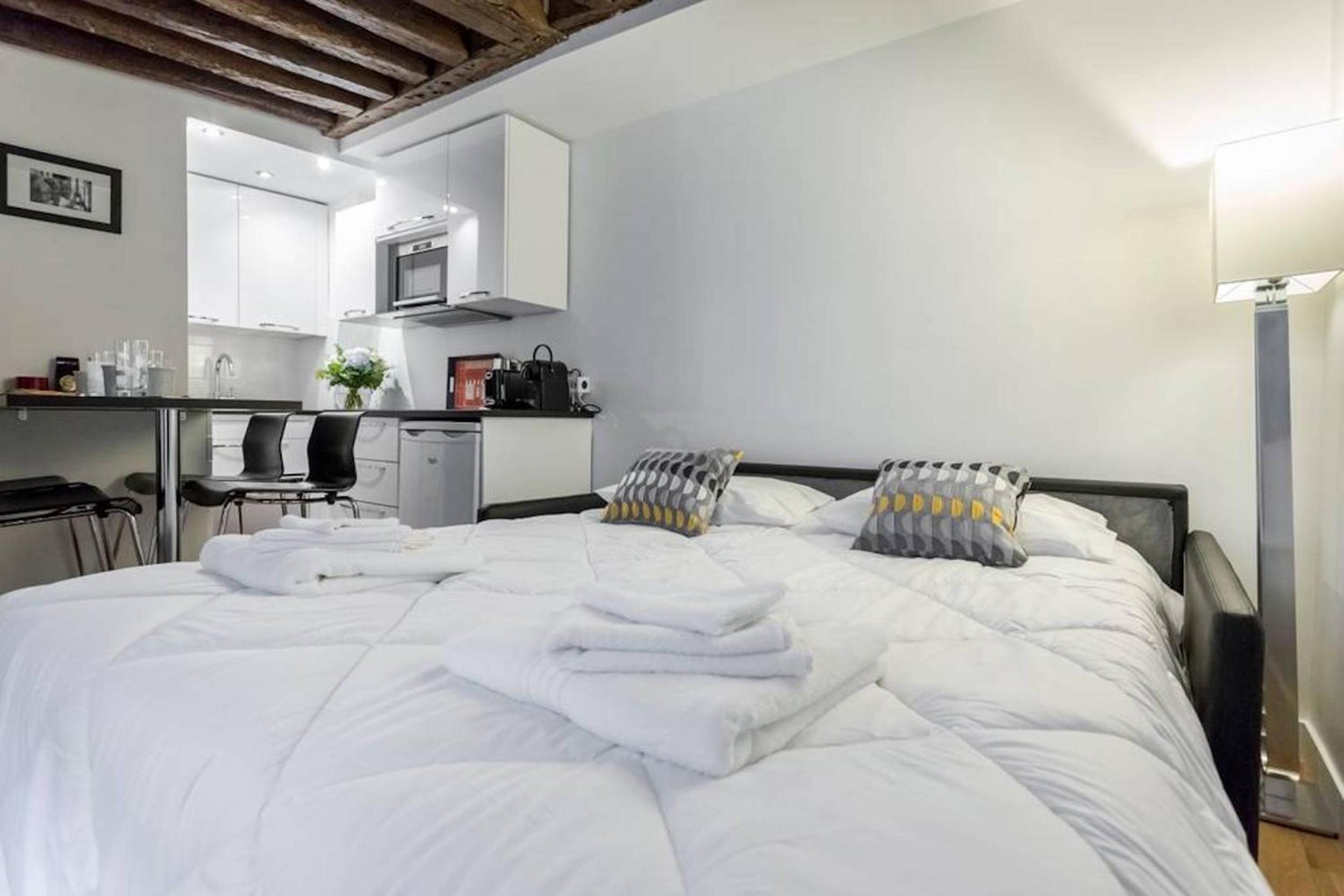 Historic Paris Apartment Steps from Notre Dame and Louvre - Limited Offer