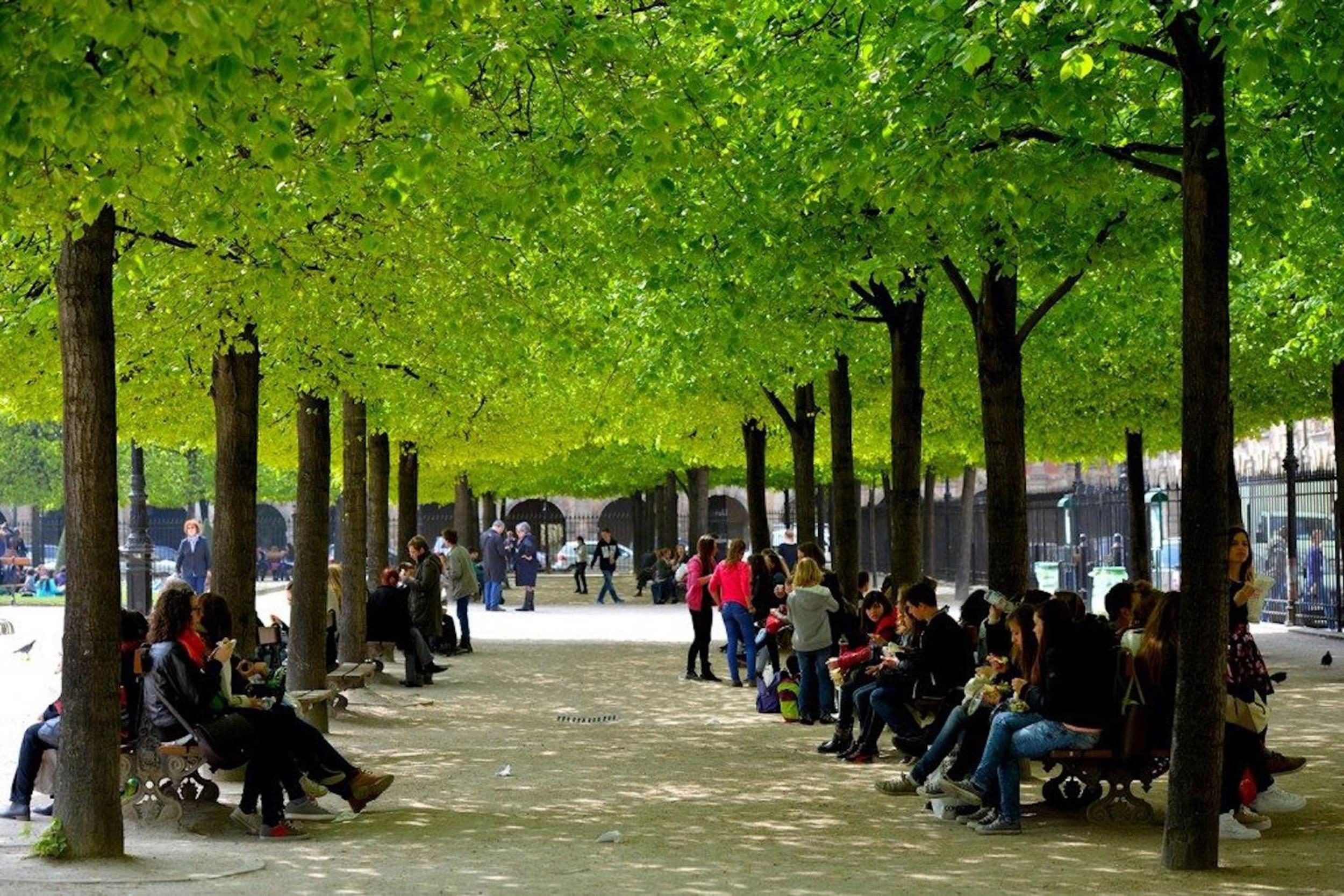 Historic Paris Apartment Steps from Notre Dame and Louvre - Limited Offer
