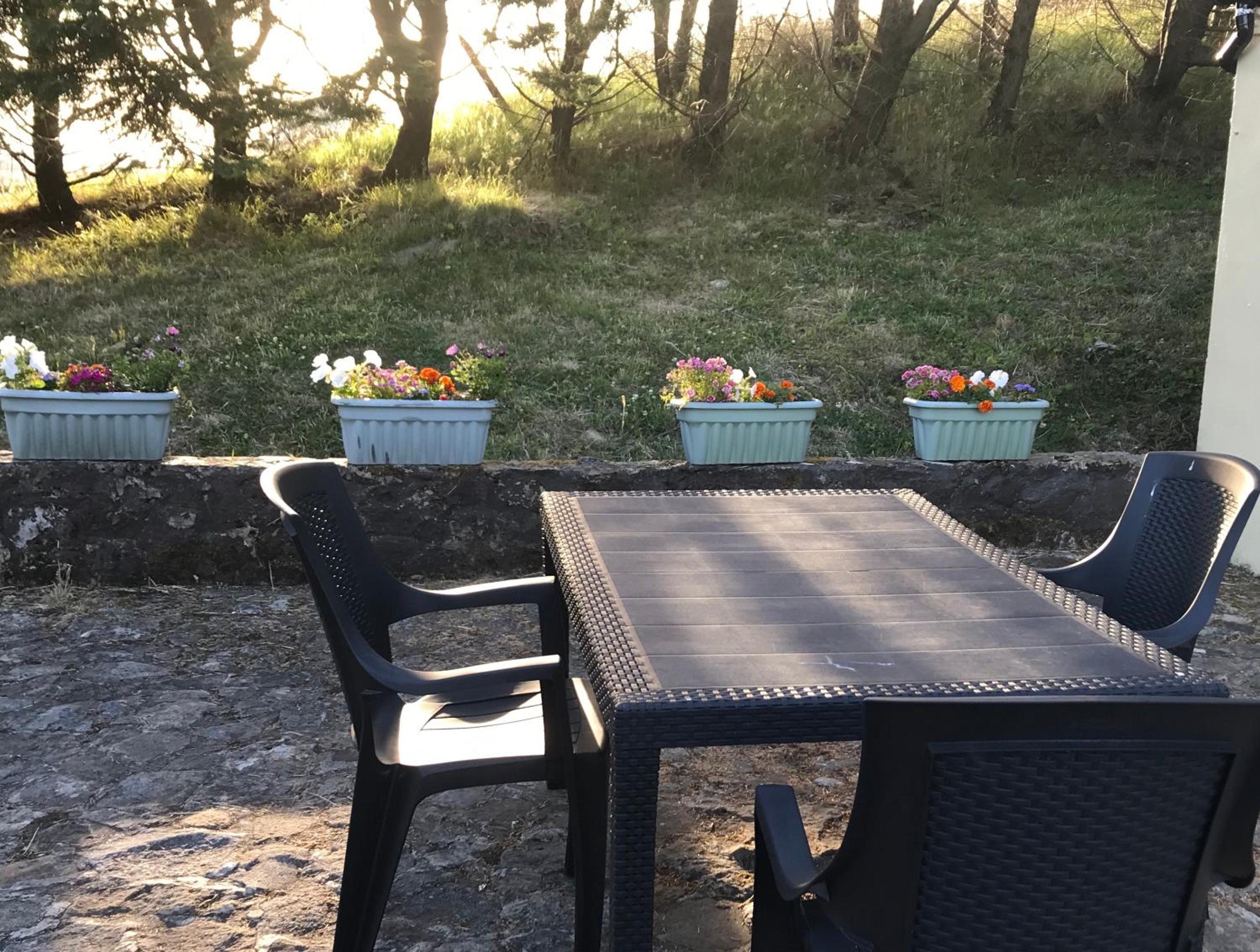 Hotel Windmill cottage - Image 1