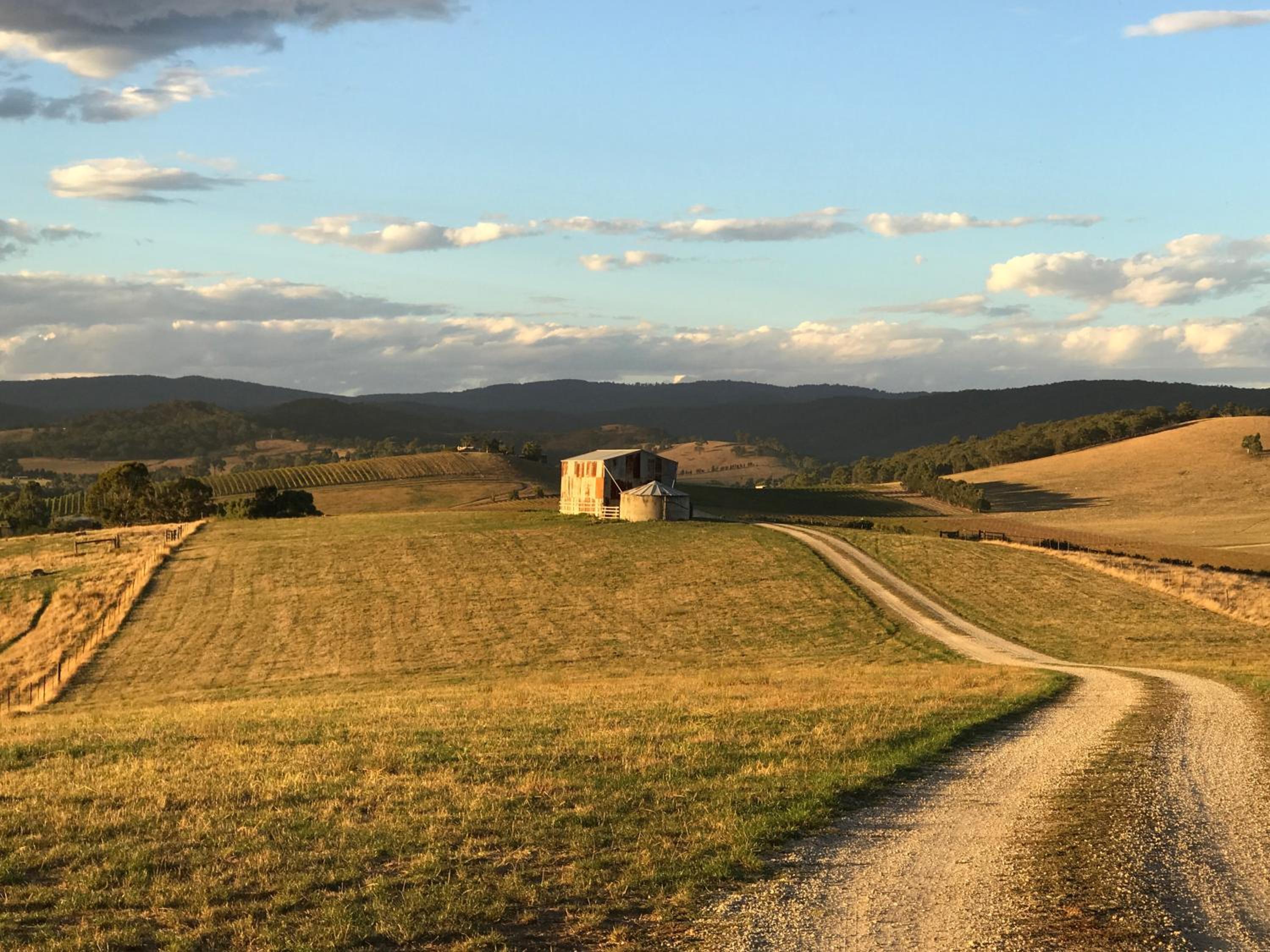The Studio - Yarra Valley