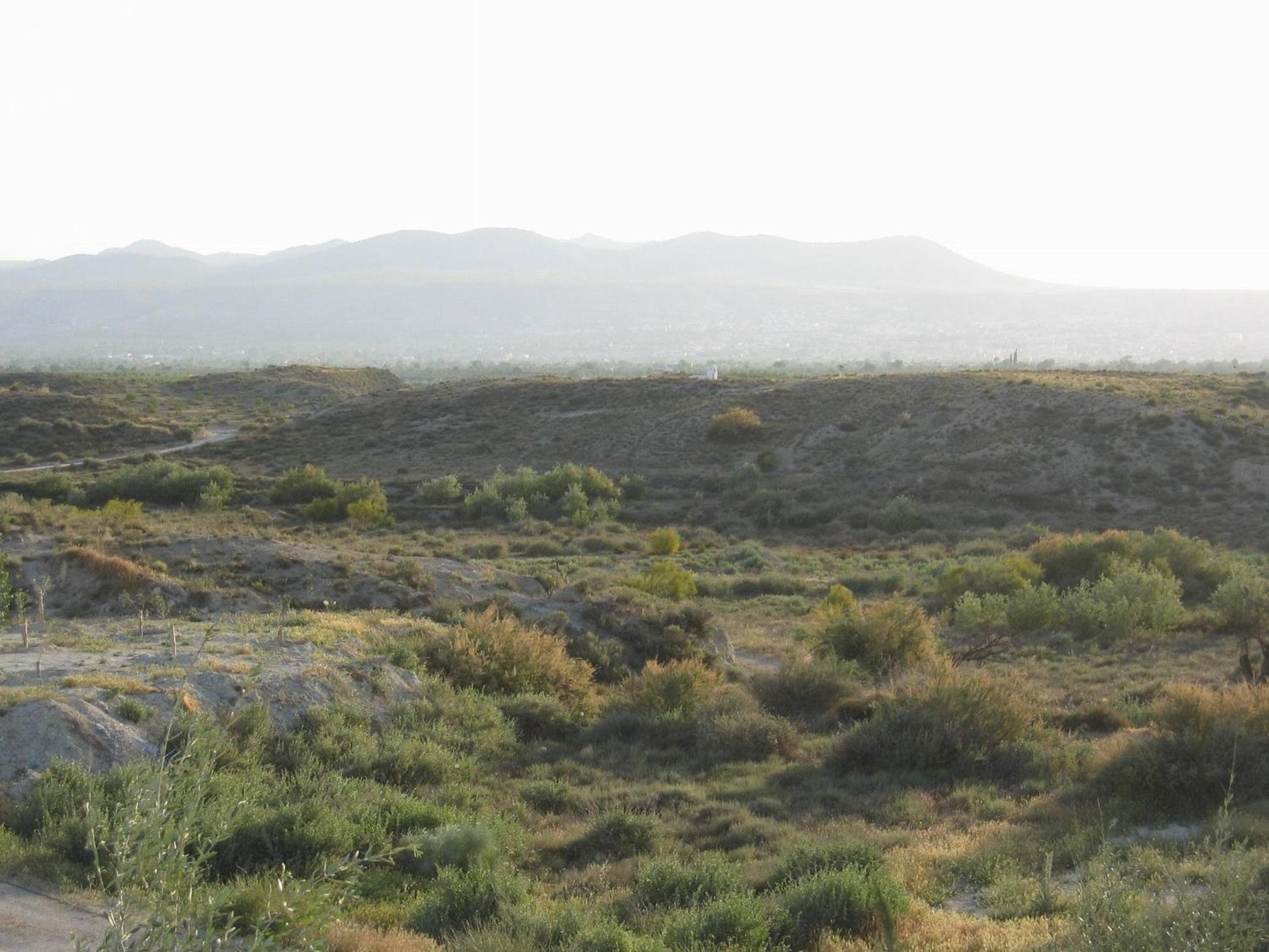 Photo 46