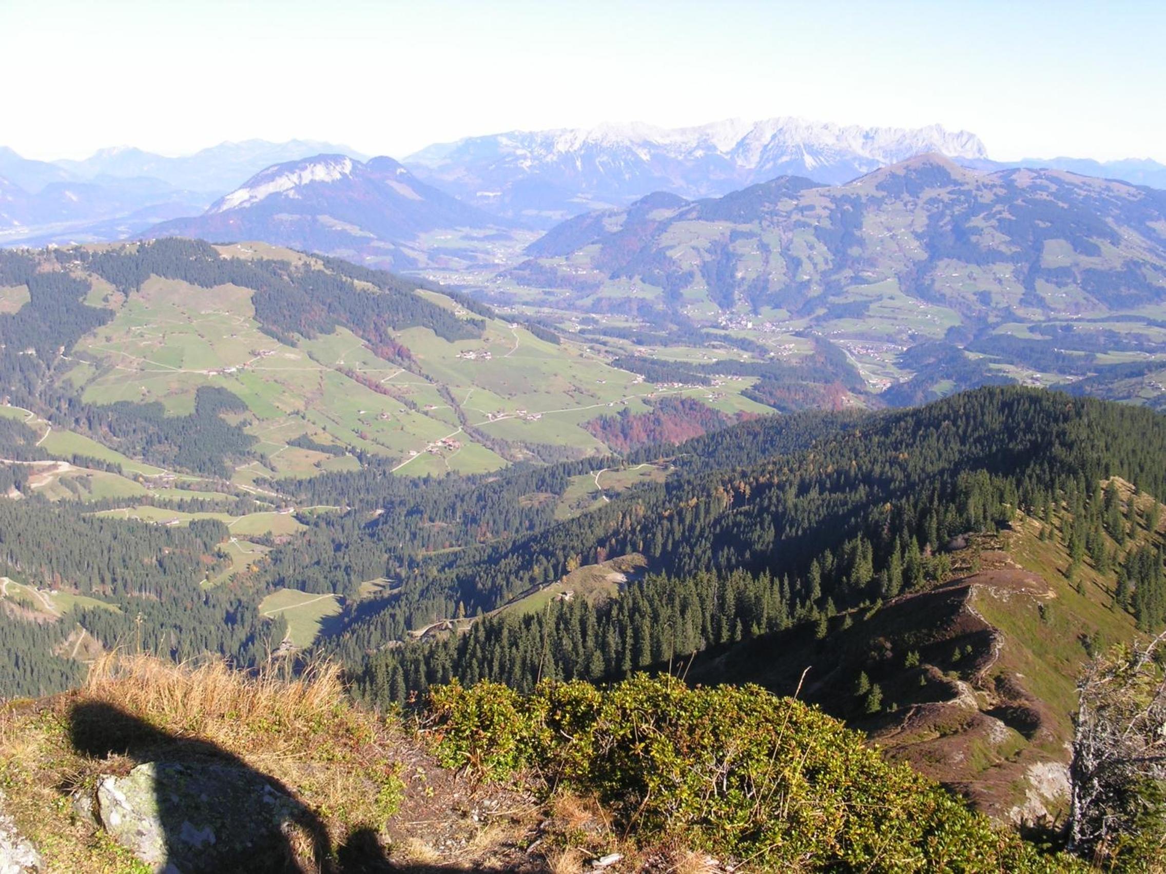 Photo 42