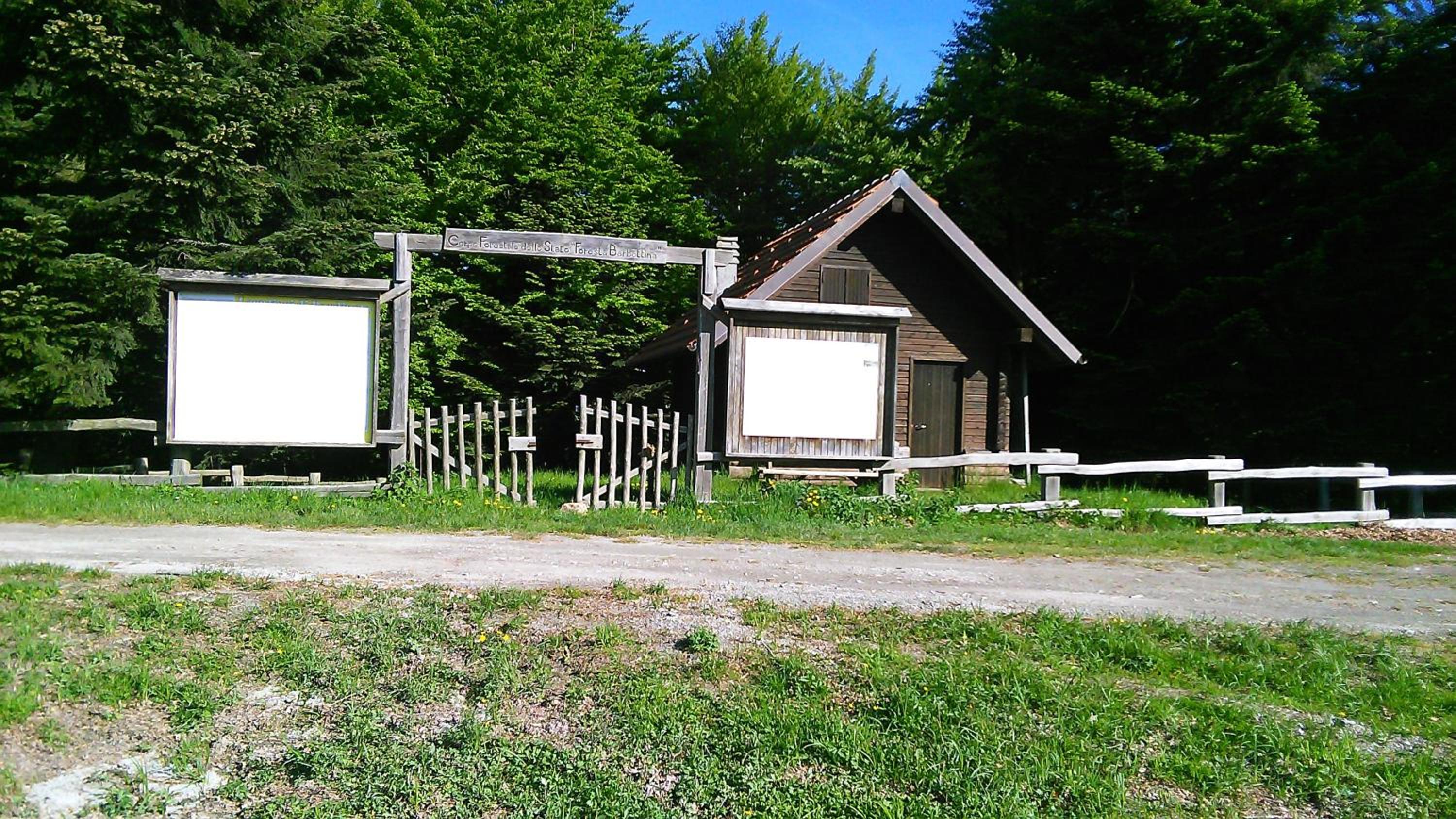 Photo 7